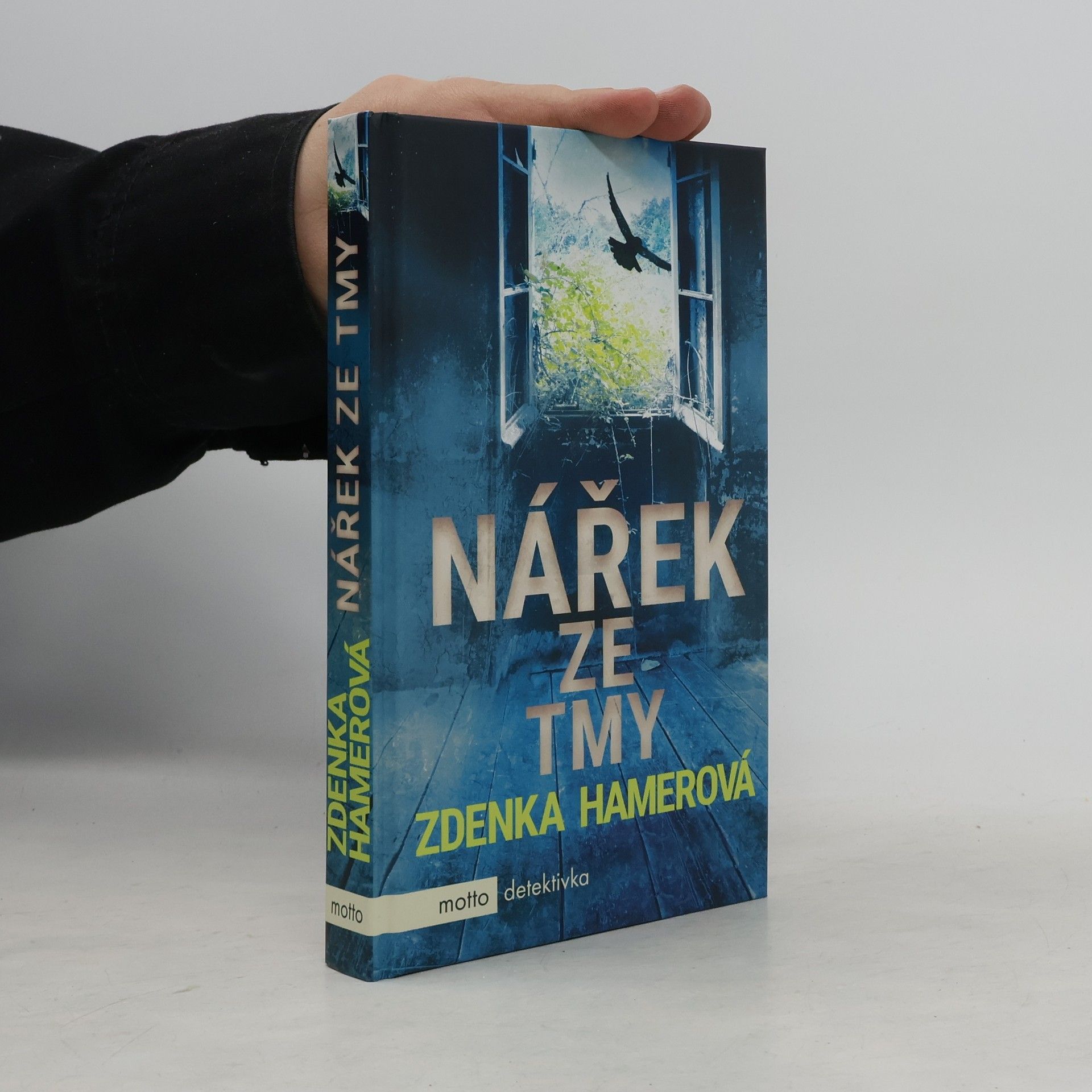 Zdenka Hamerová Nářek ze tmy