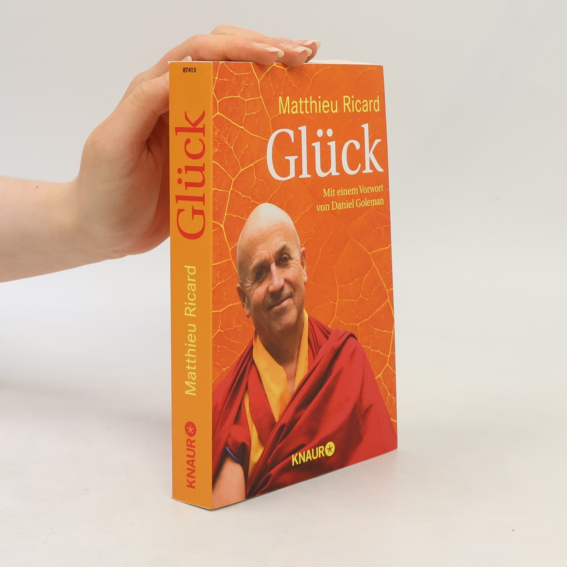 Matthieu Ricard Glück