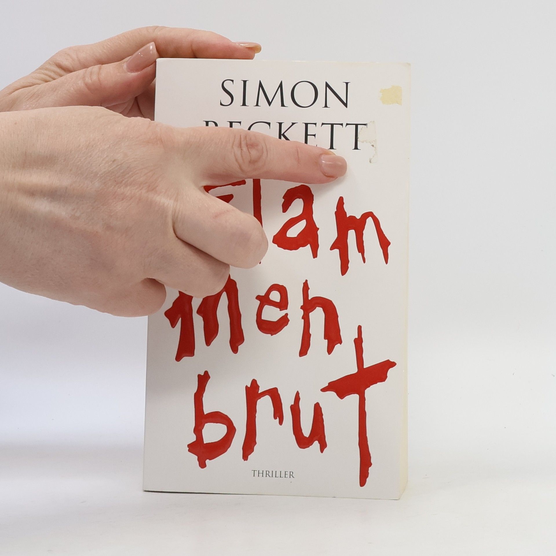 Simon Beckett Flammenbrut