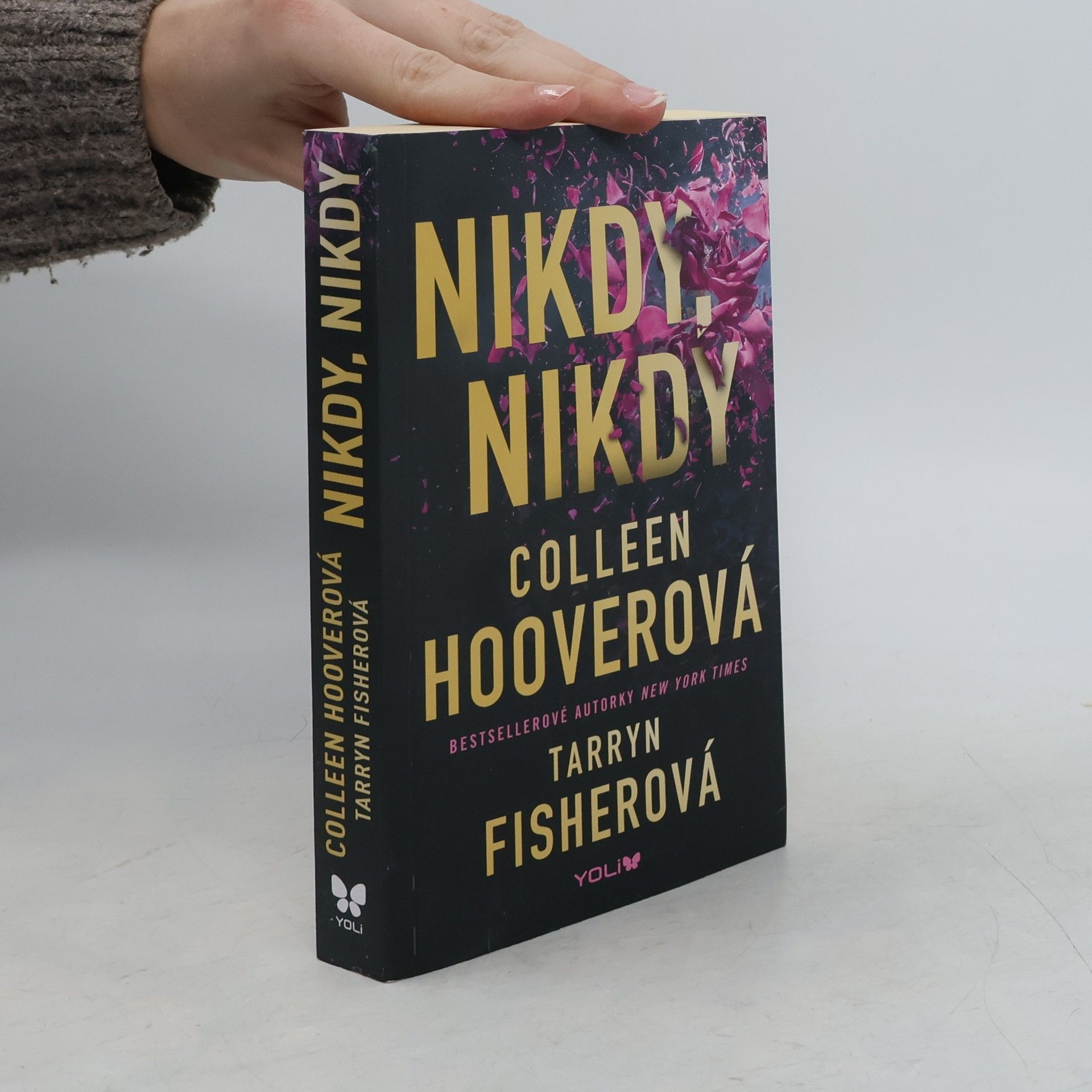 Colleen Hoover Nikdy, nikdy