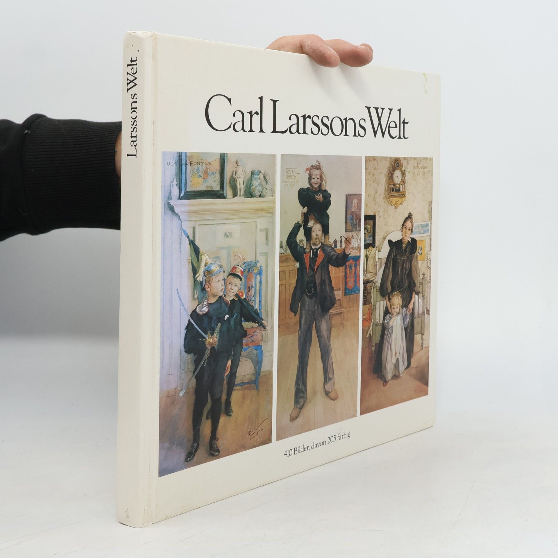 Carl Larsson Larssons Welt