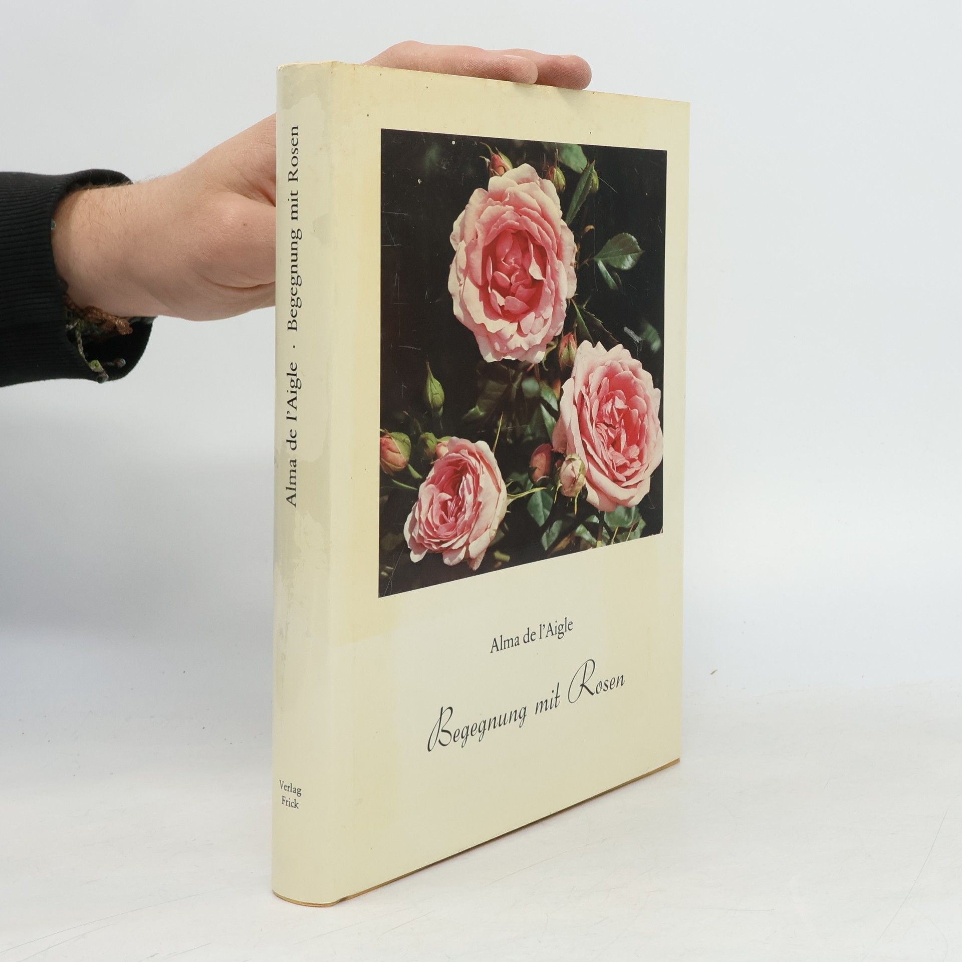 Alma De L'Aigle Begegnung mit Rosen