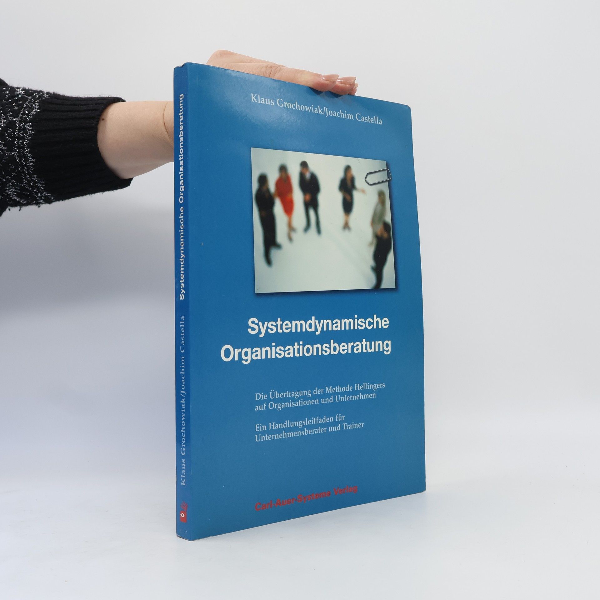 Joachim Castella Systemdynamische Organisationsberatung