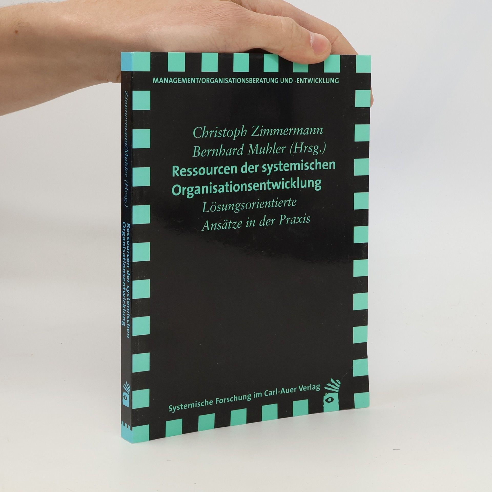Ressourcen der systemischen Organisationsentwicklung