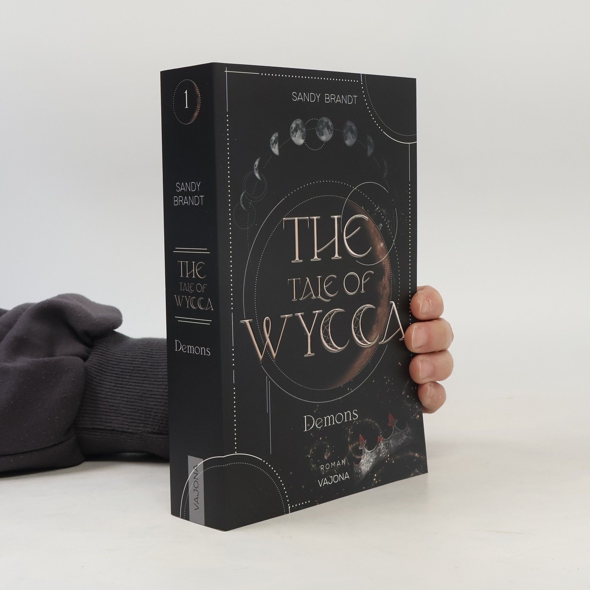 Sandy Brandt The Tale of Wycca 1. Demons