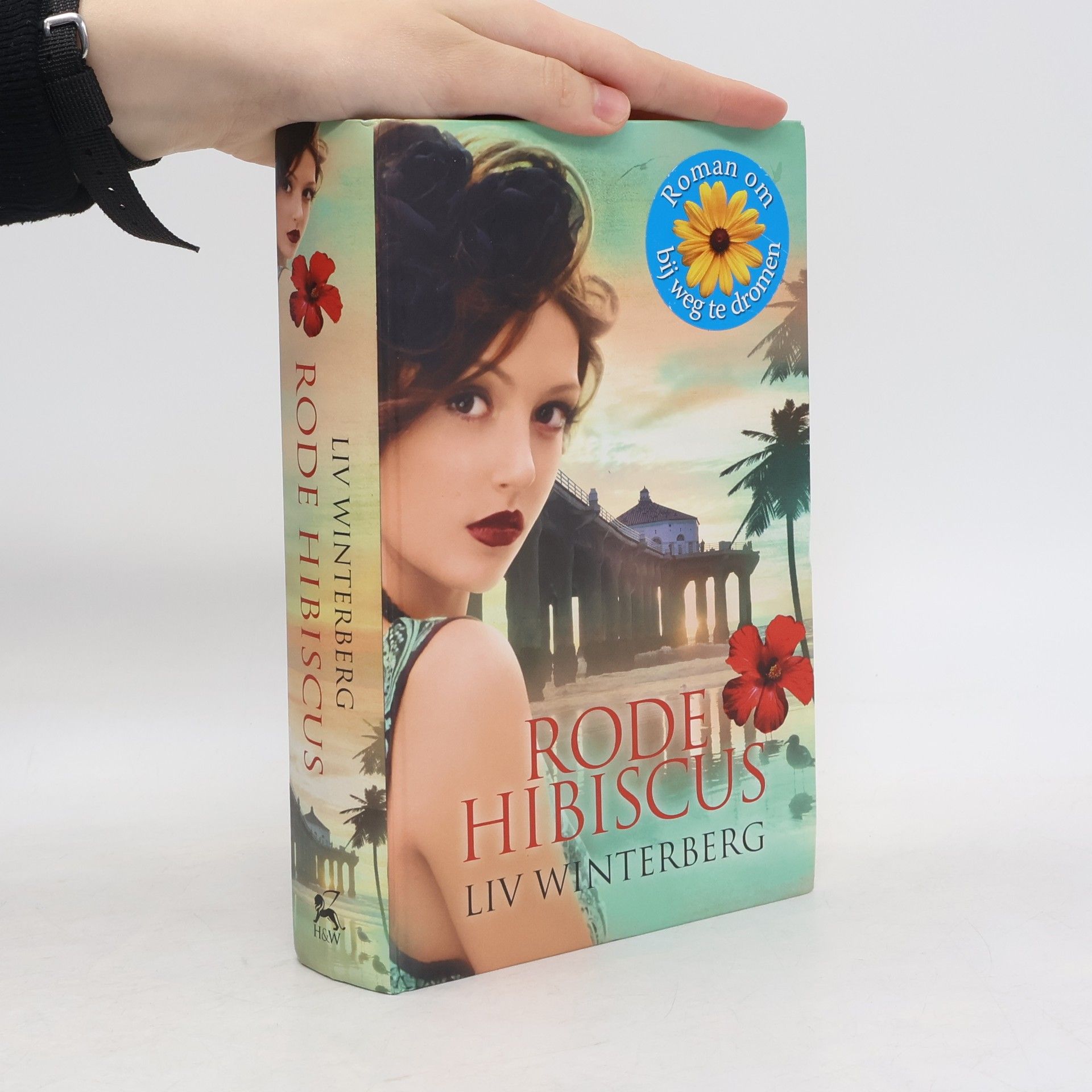 Merel Leene Rode hibiscus