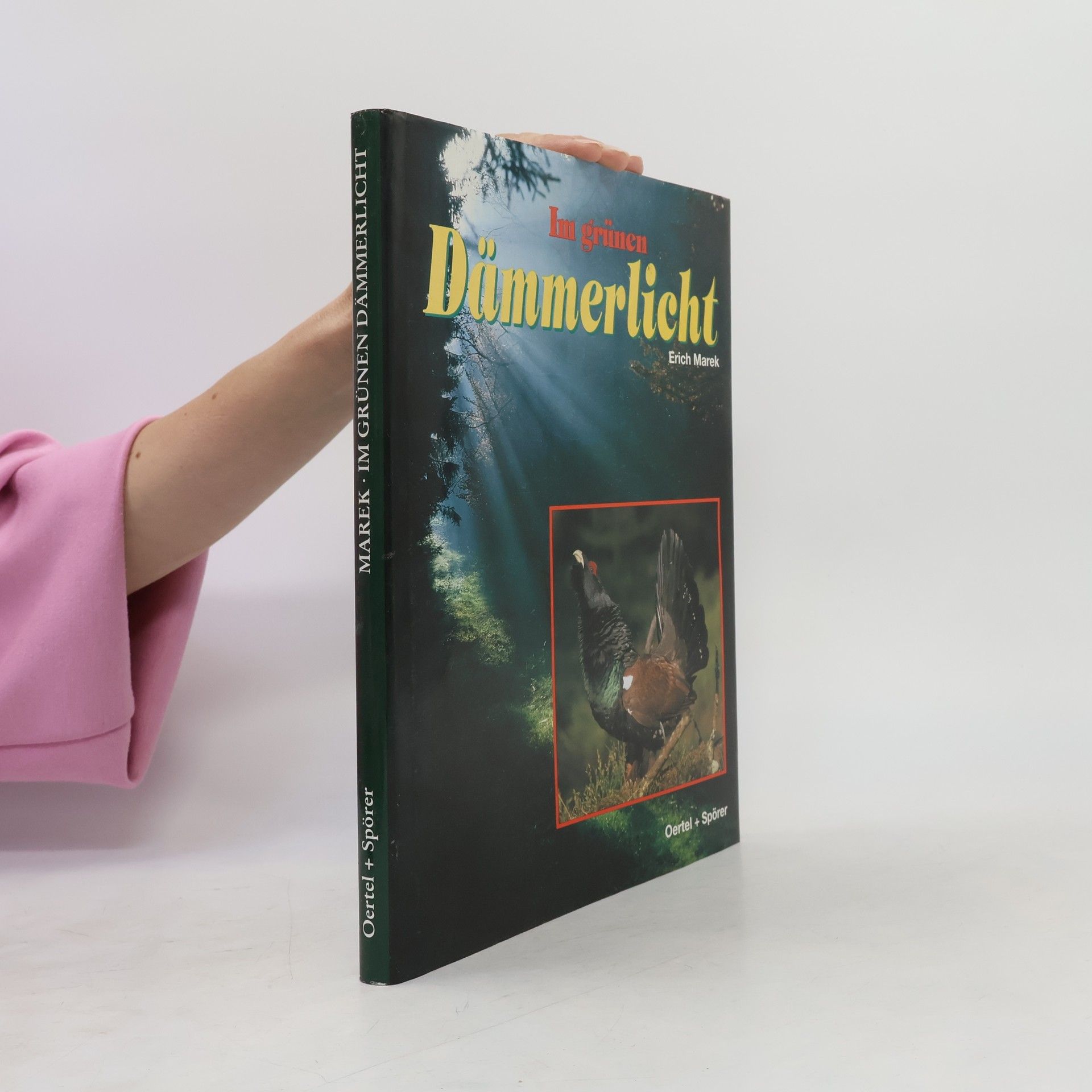 Werner Stoll Im grünen Dämmerlicht