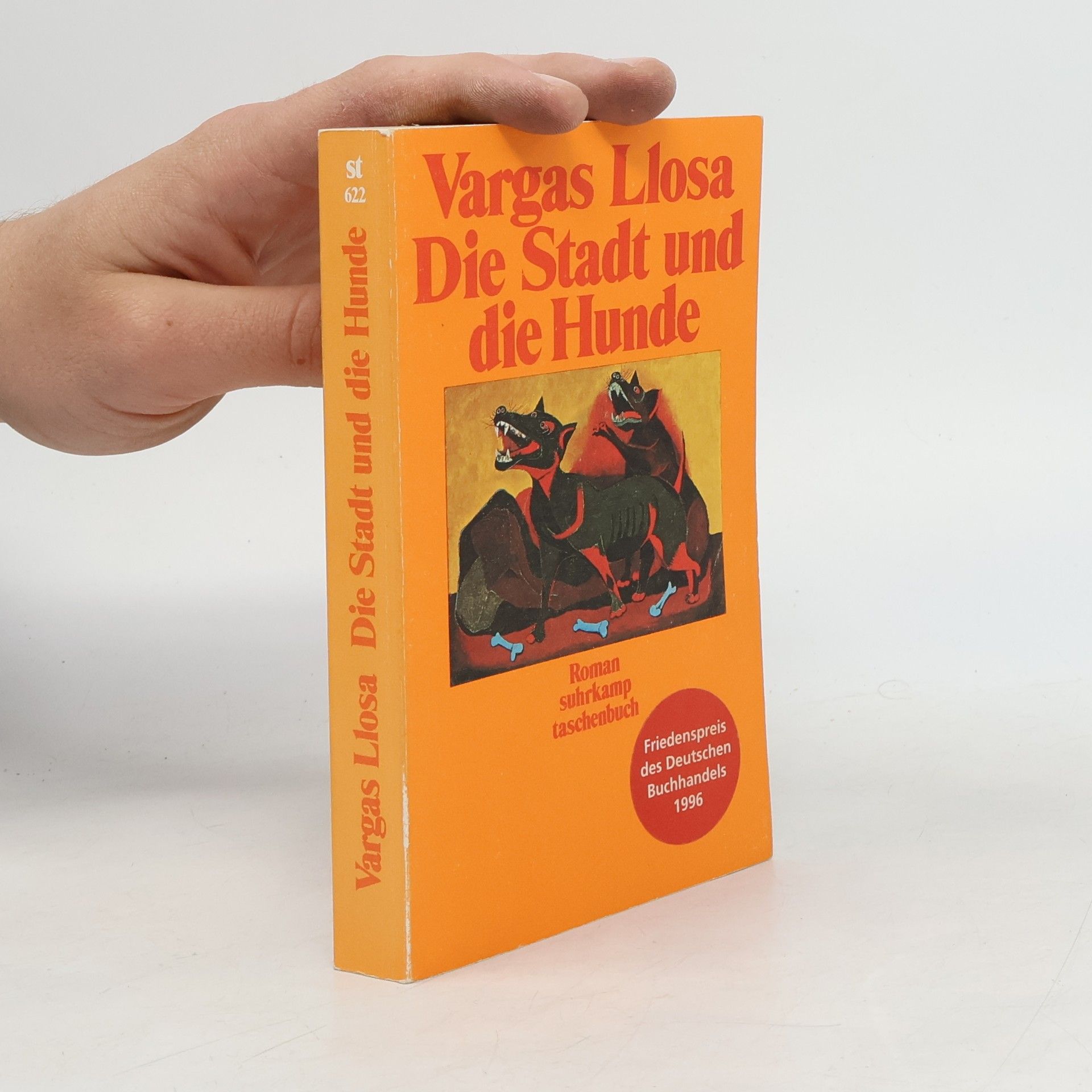 Mario Vargas Llosa Die Stadt und die Hunde: Roman