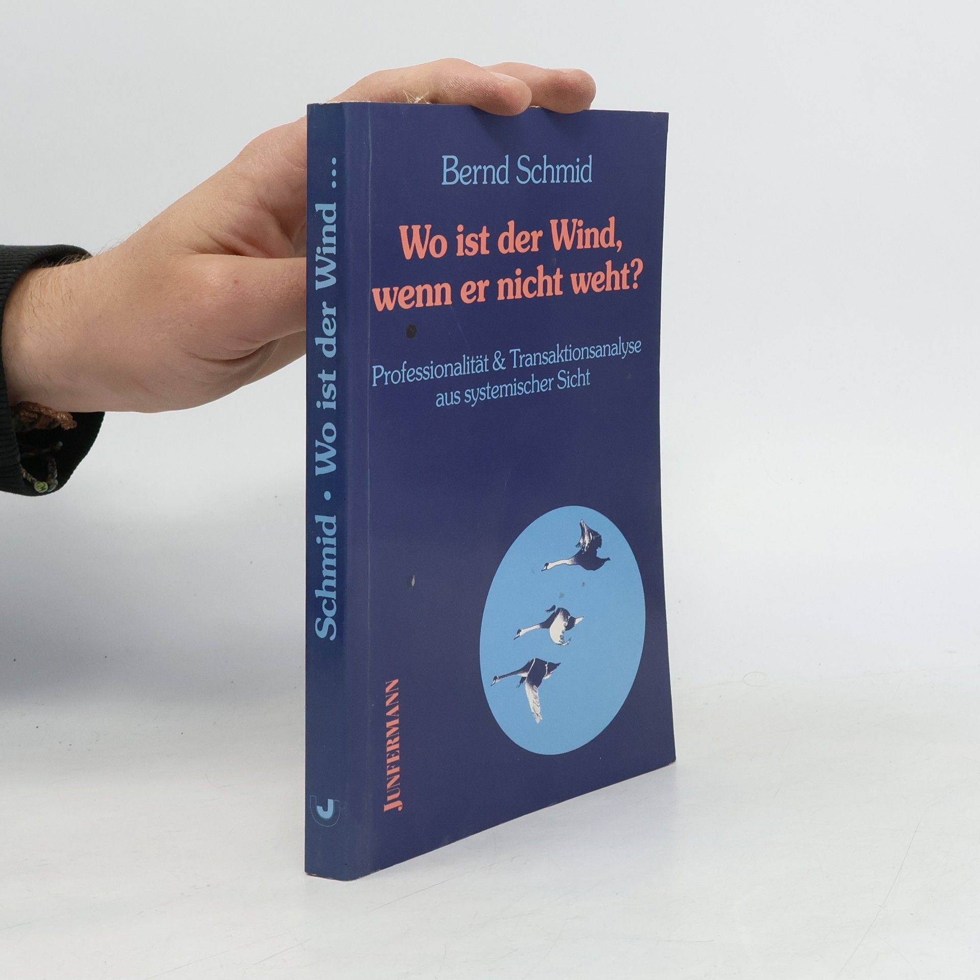 Bernd Schmid Wo ist der Wind, wenn er nicht weht?
