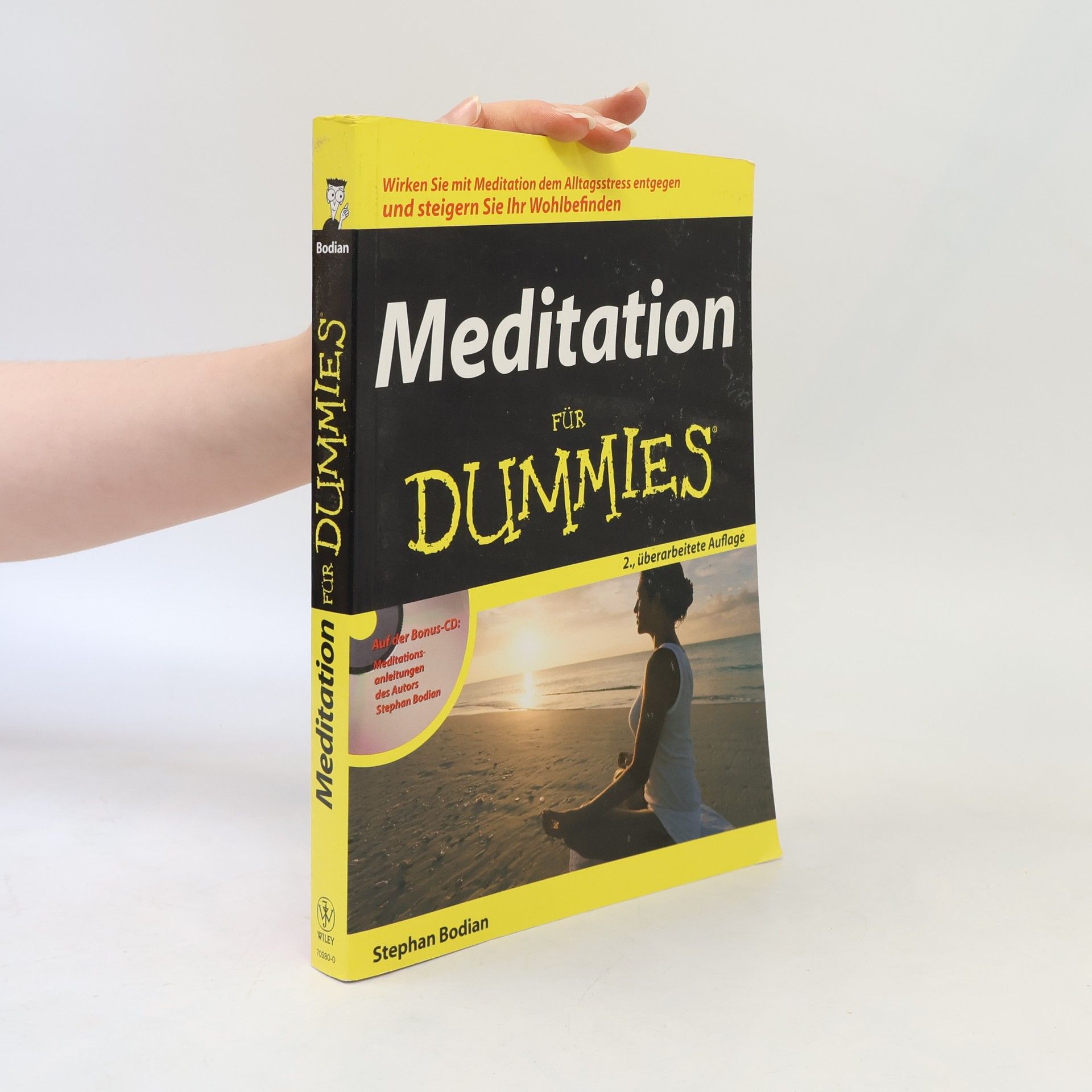 Stephan Bodian Meditation für Dummies