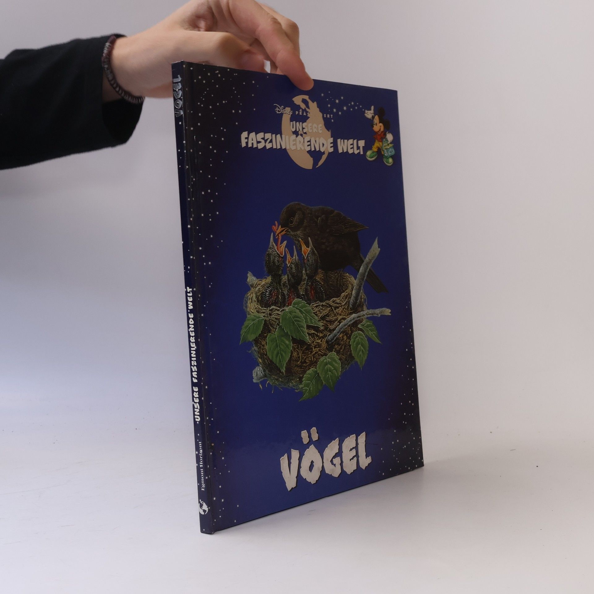 Helga Kronthaler Unsere Faszinierende Welt. Vögel.