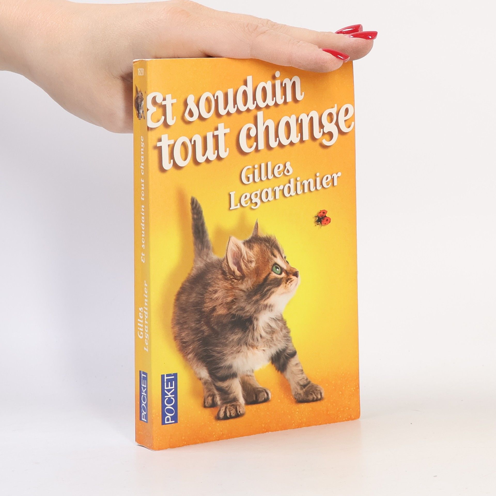Gilles Legardinier Et soudain, tout change