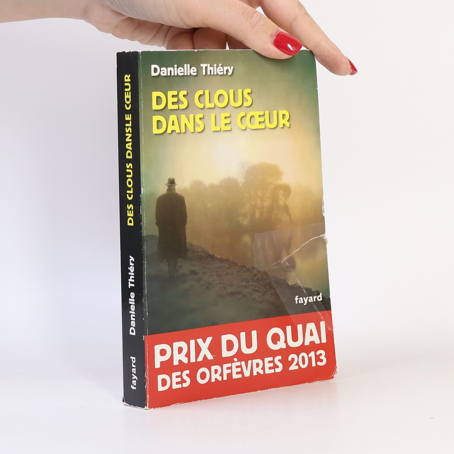 Danielle Thiéry Des clous dans le coeur