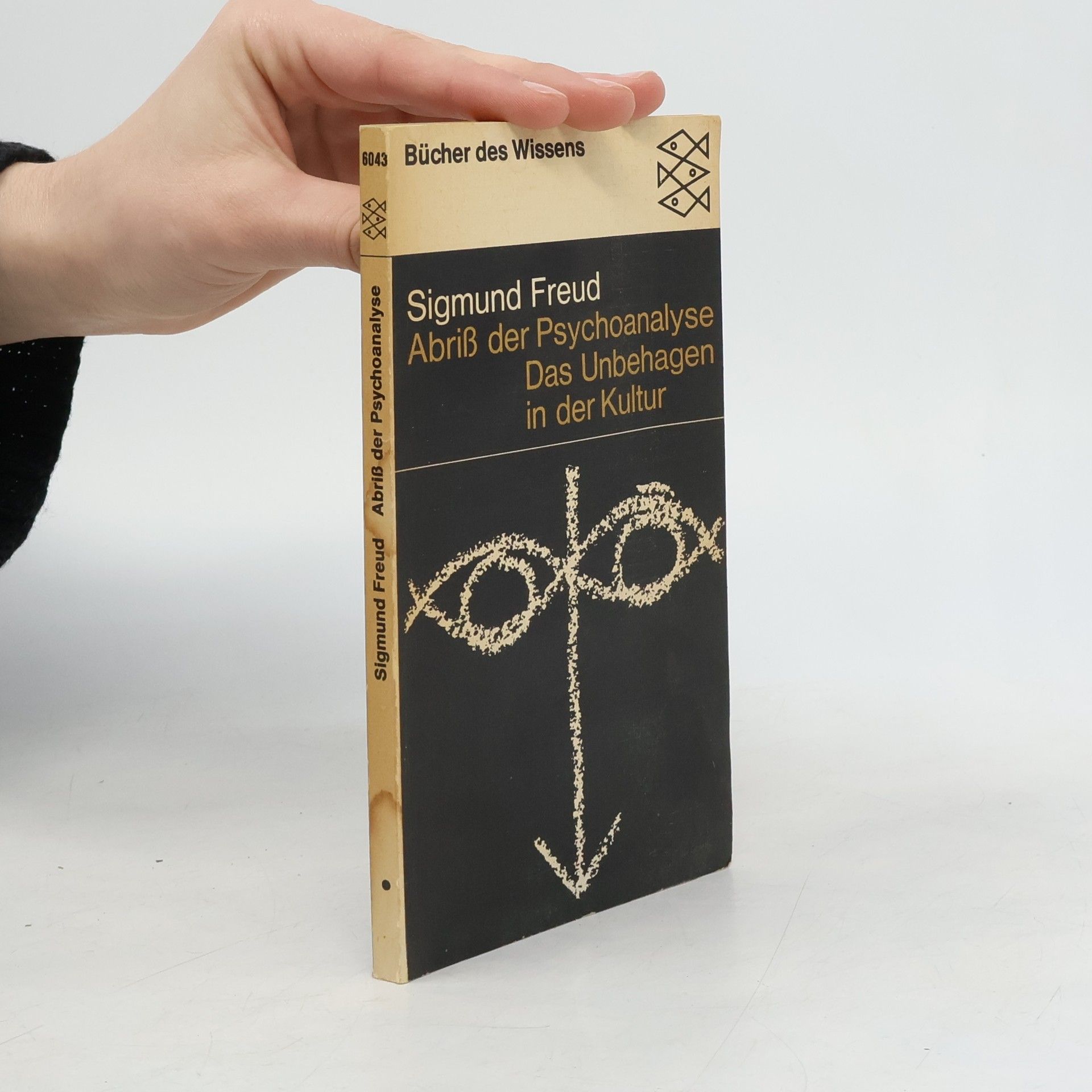 Sigmund Freud Abriß der Psychoanalyse. Das Unbehagen in der Kultur