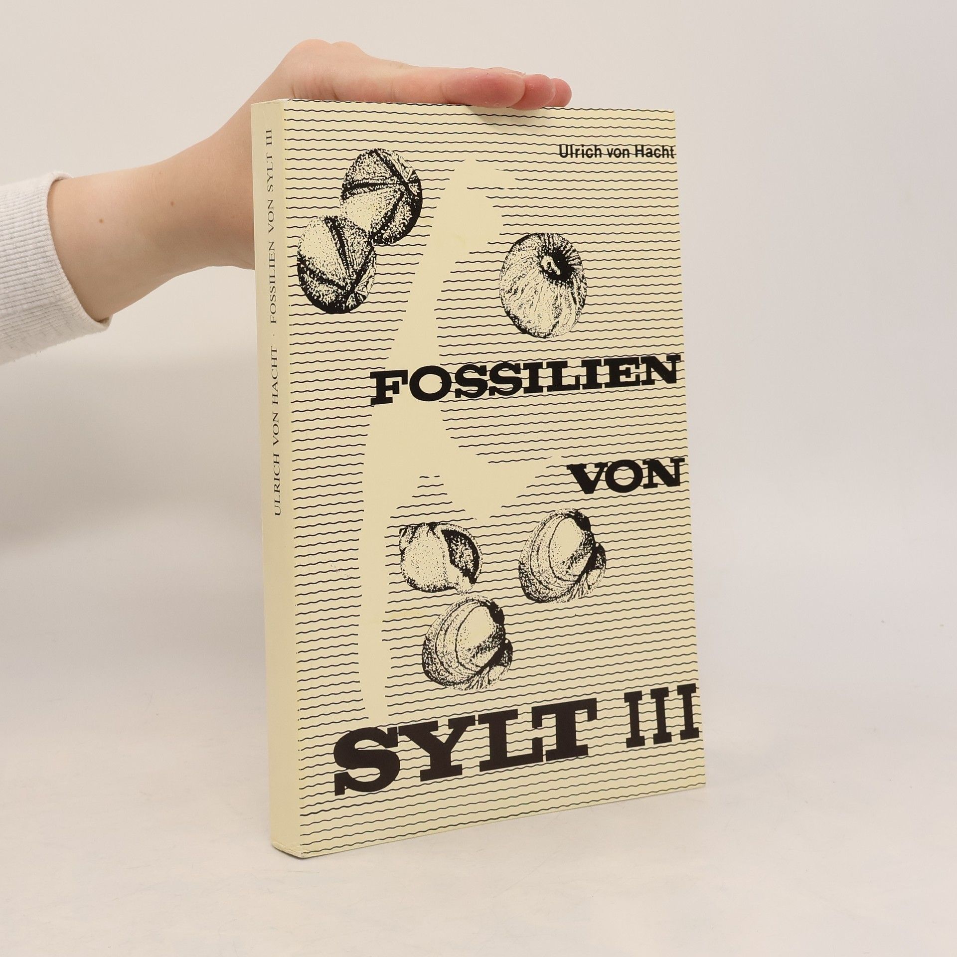 Ulrich von Hacht Fossilien von Sylt