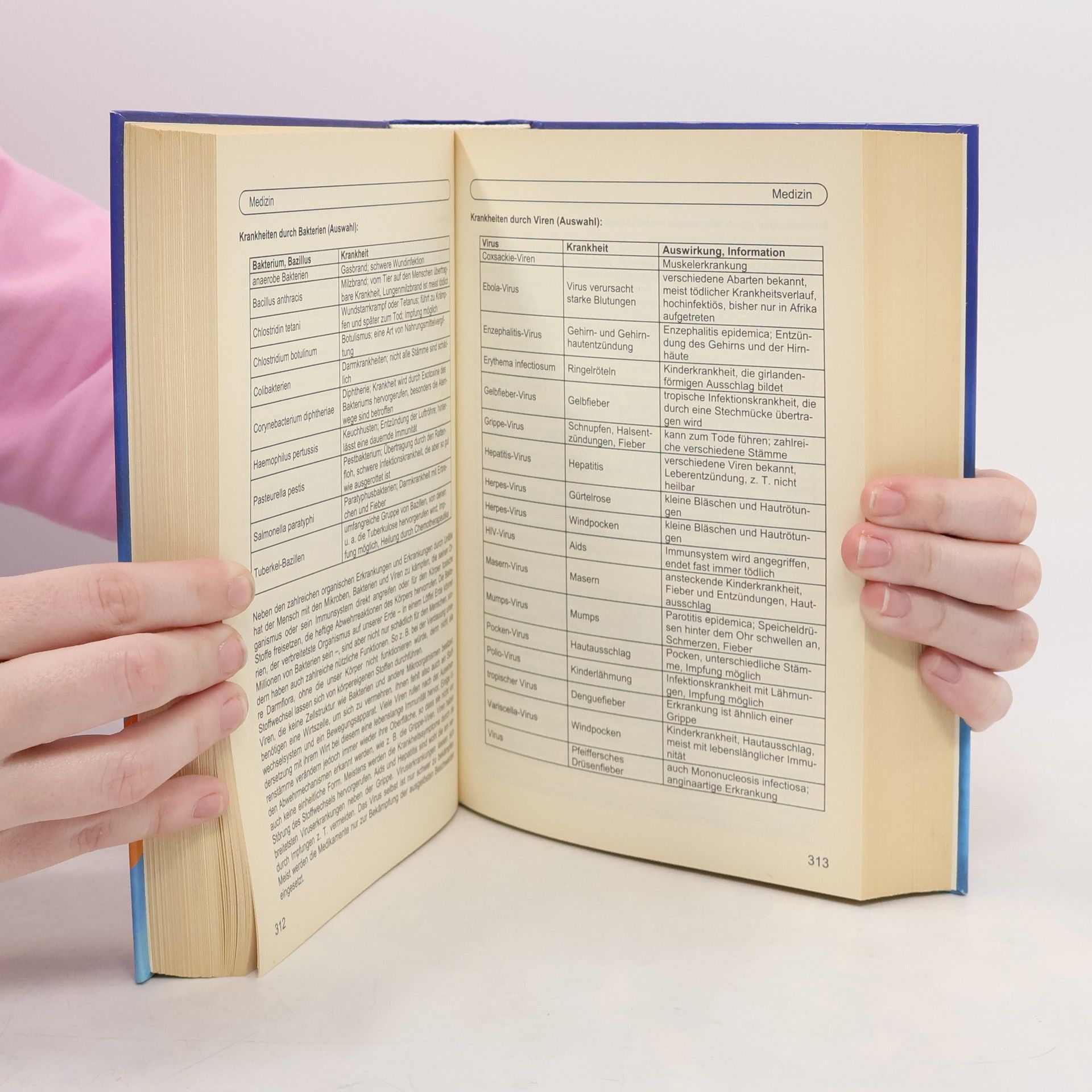 Autorenkollektiv Wissen für Millionen?