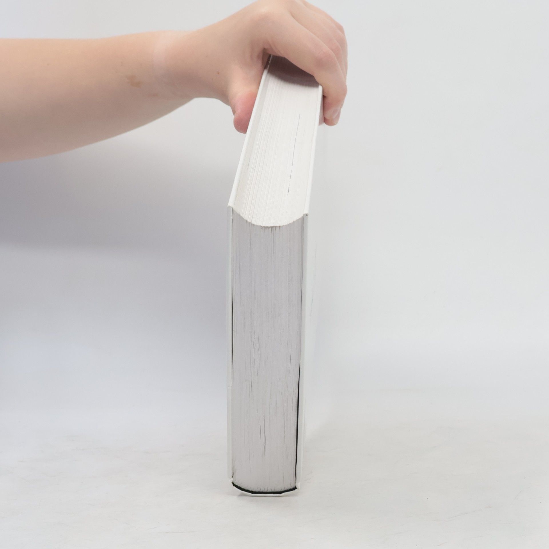 Various authors Das große Loriot Buch