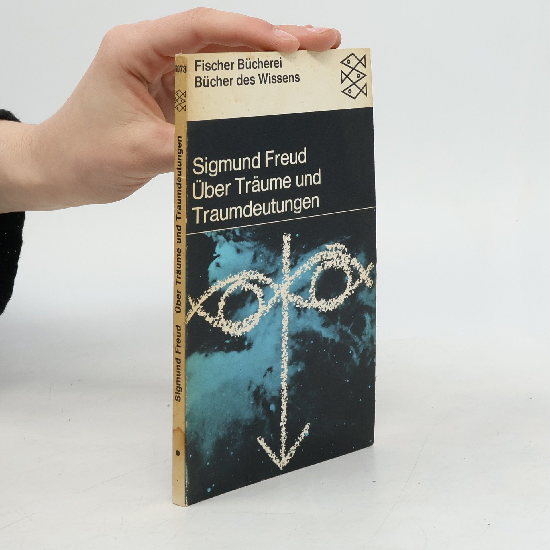 Sigmund Freud Über Träume und Traumdeutungen