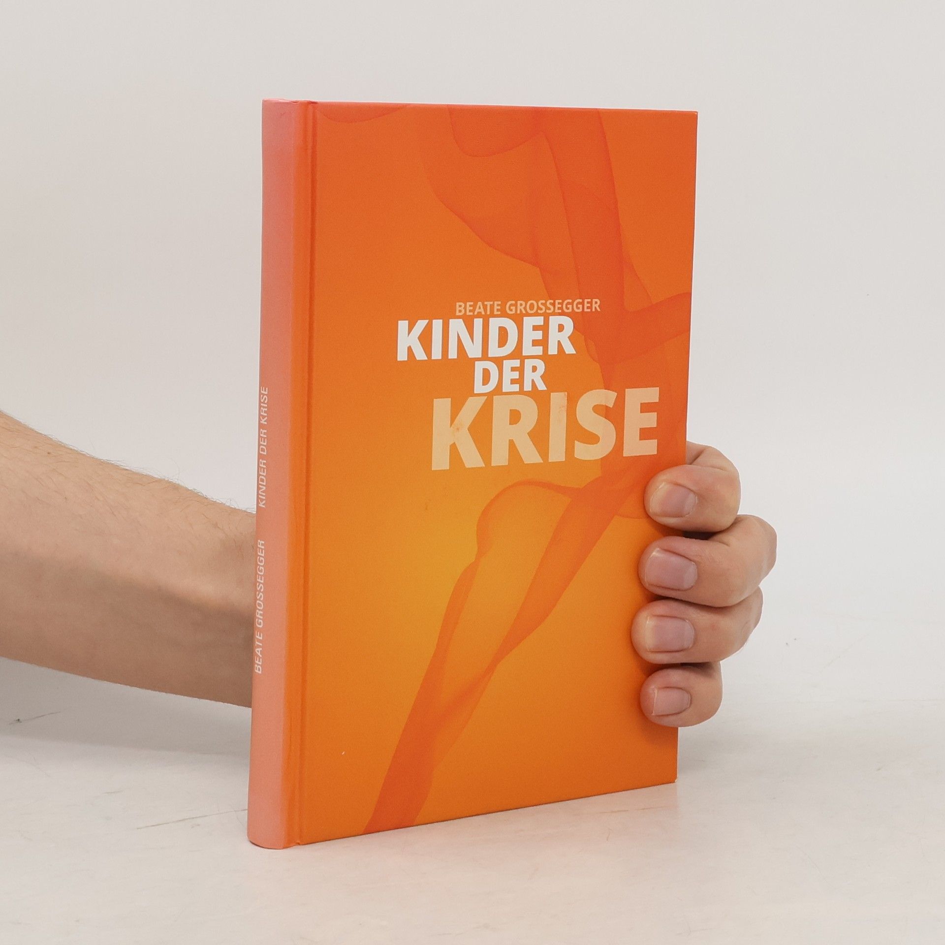 Beate Großegger Kinder der Krise