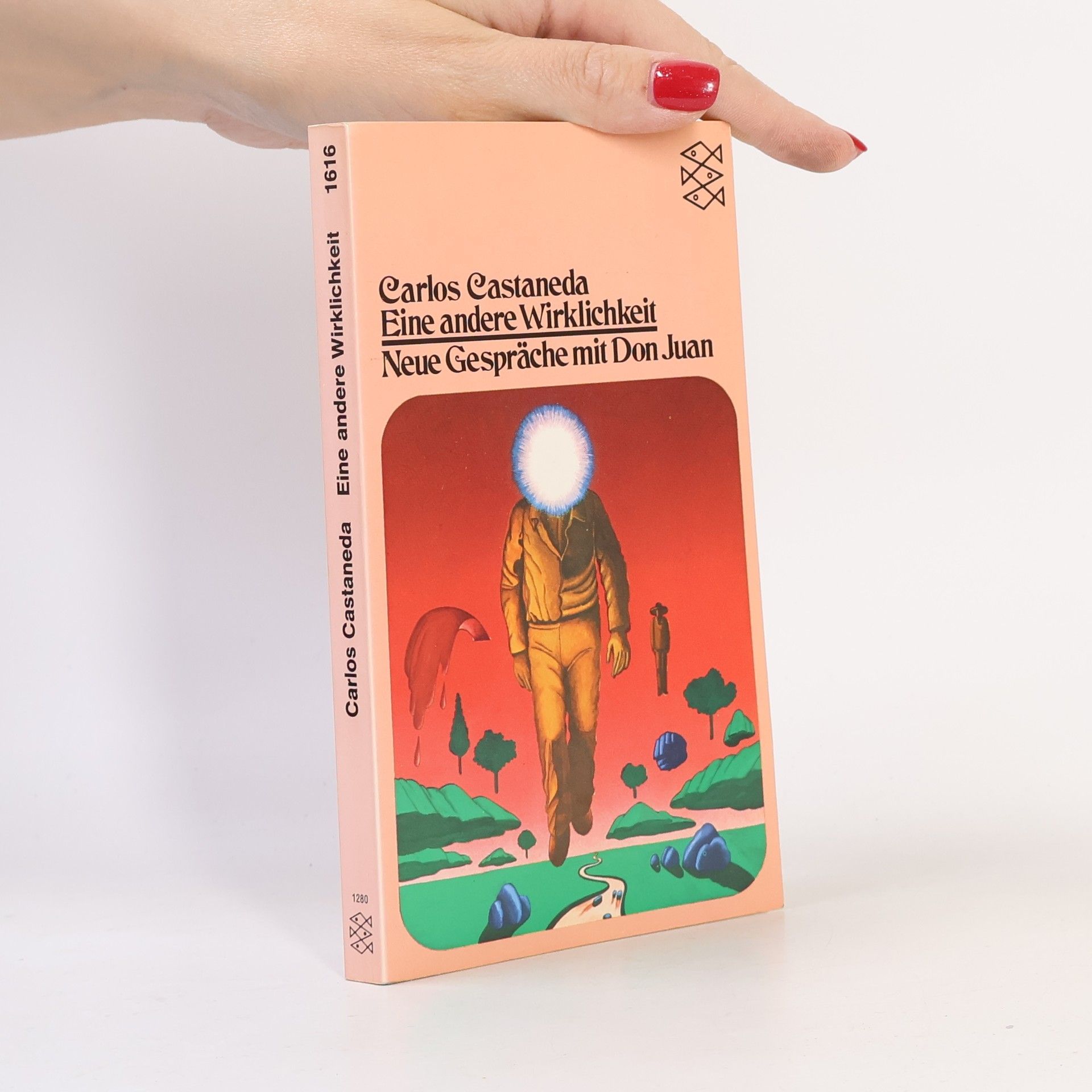 Carlos Castaneda Eine andere Wirklichkeit