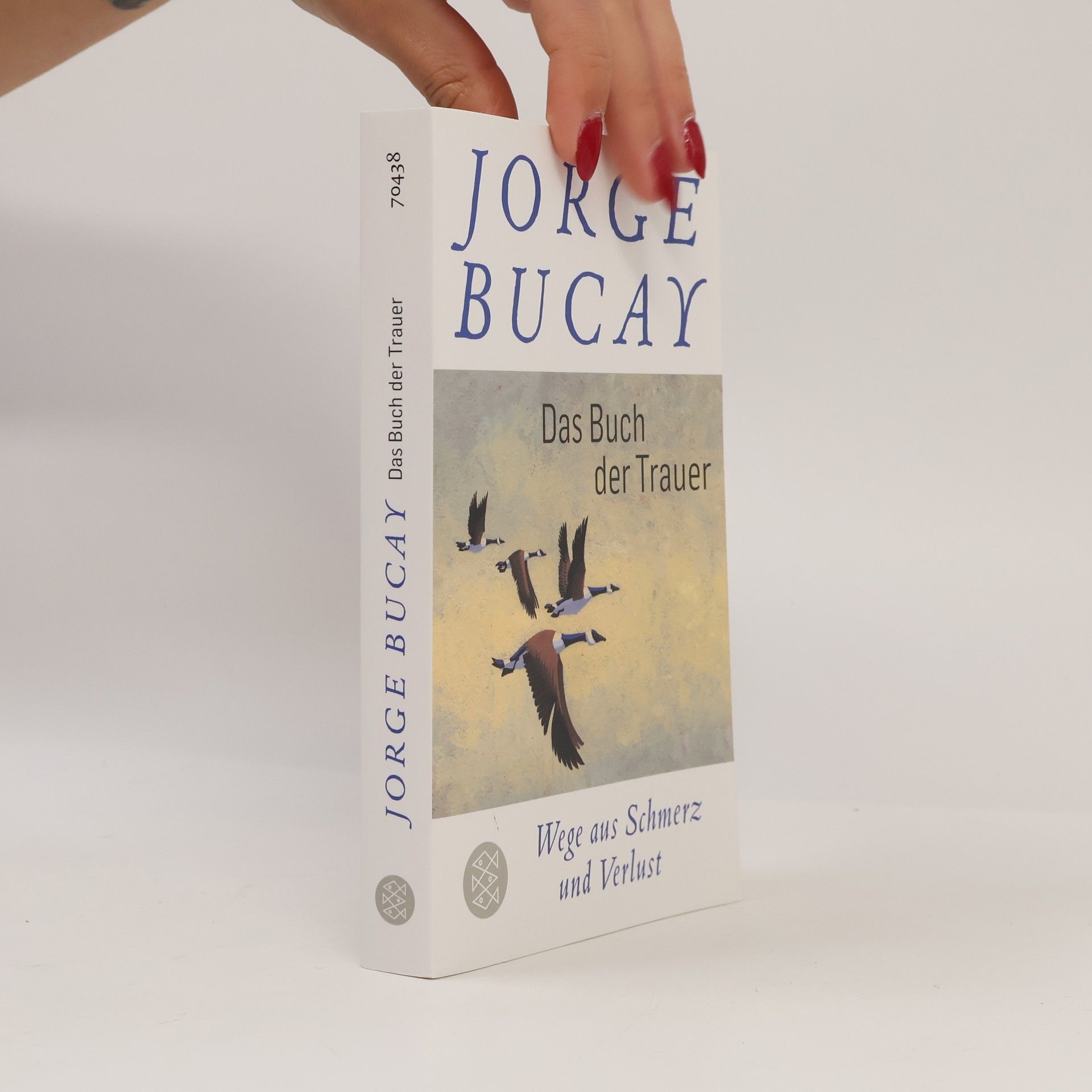 Jorge Bucay Das Buch der Trauer
