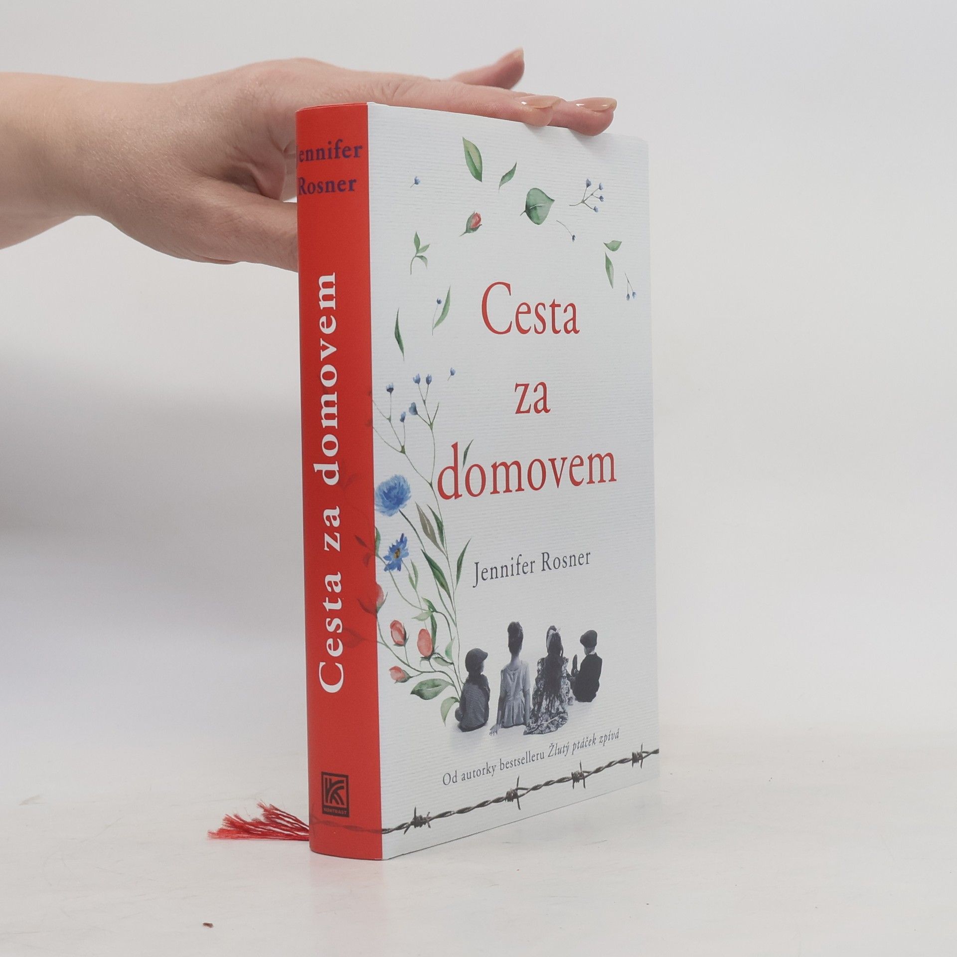 Cesta za domovem