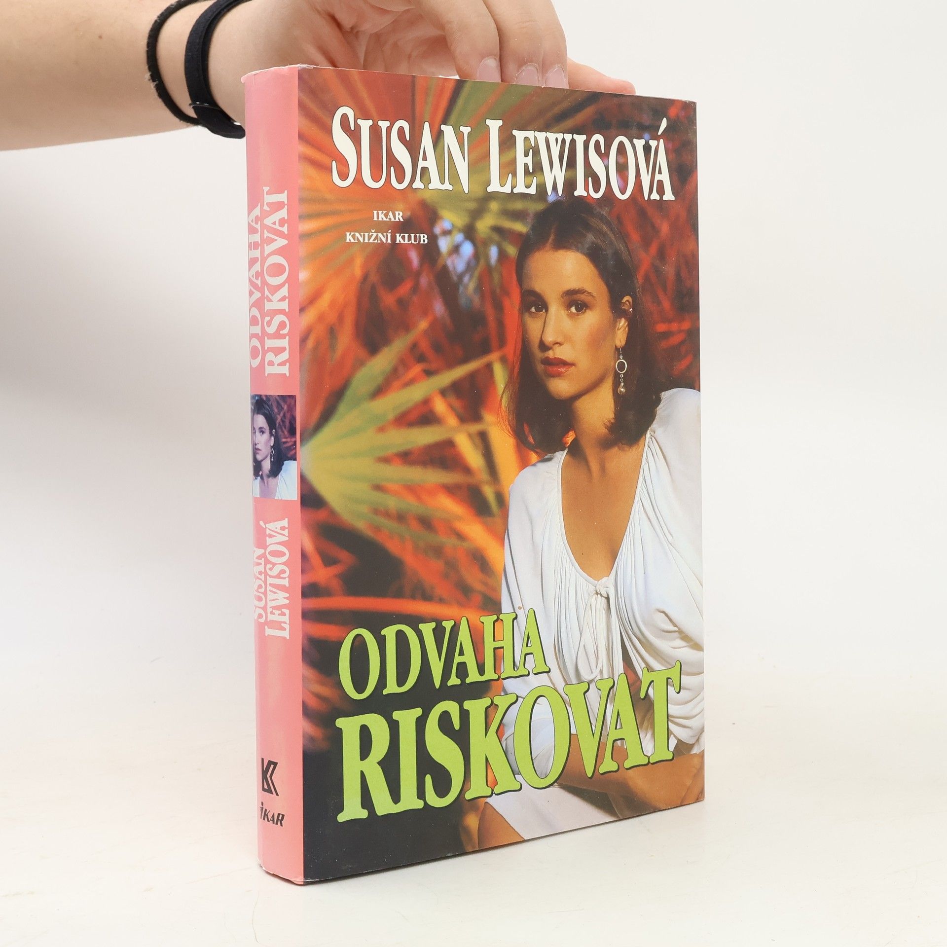 Susan Lewis Honba za sny