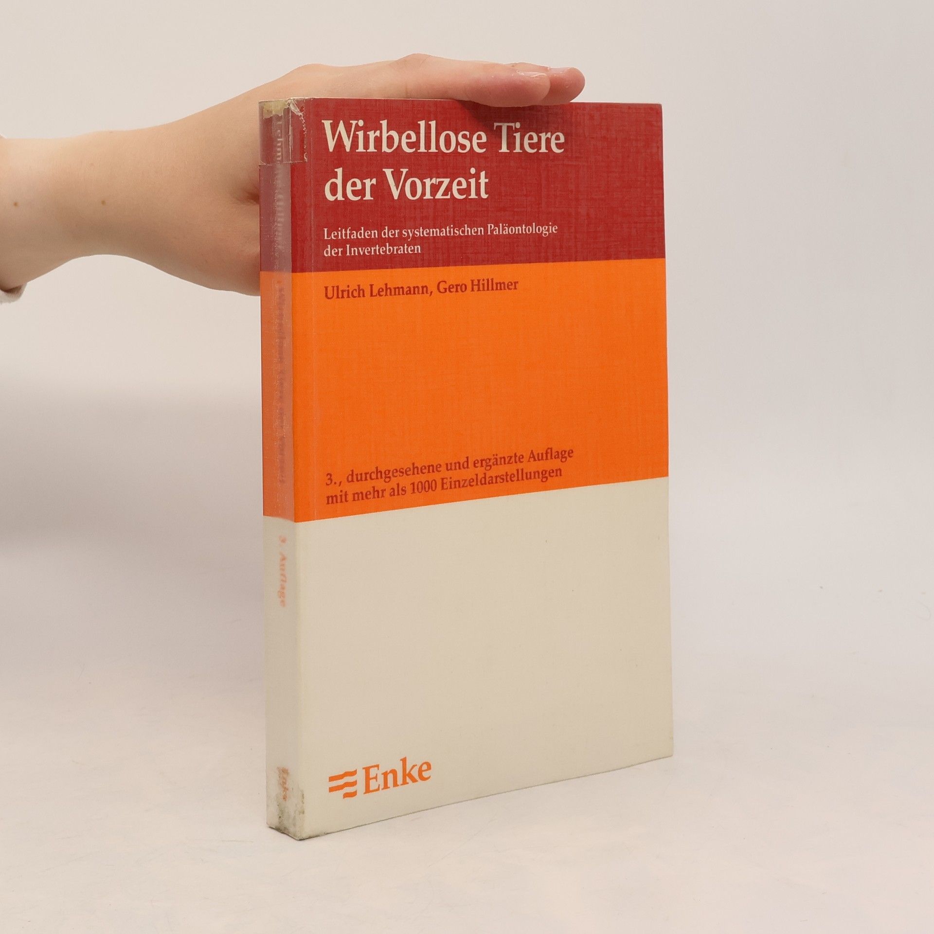 Gero Hillmer Wirbellose Tiere der Vorzeit