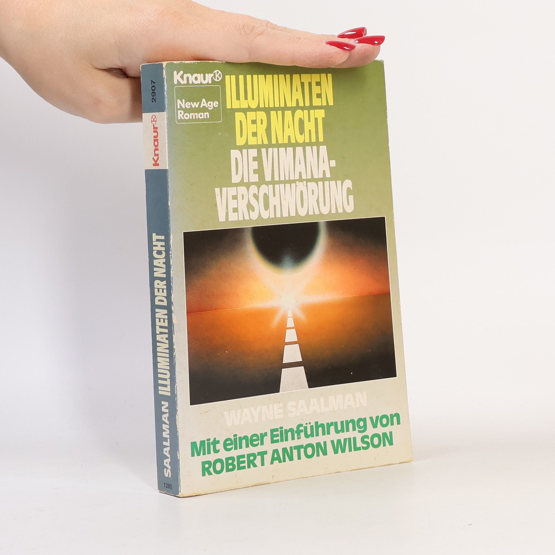 Wayne Saalman New Age: Illuminaten der Nacht: Die Vimana-Verschwörung
