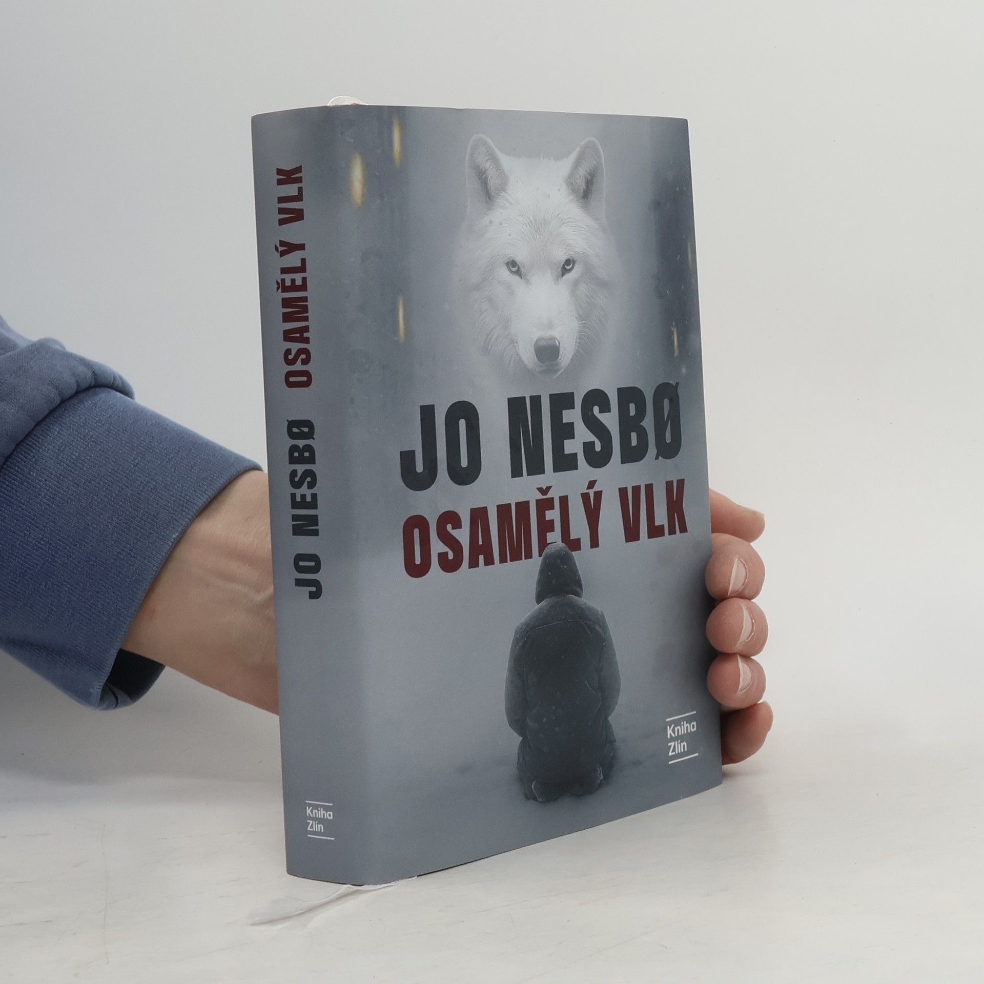 Kateřina Krištůfková Osamělý vlk