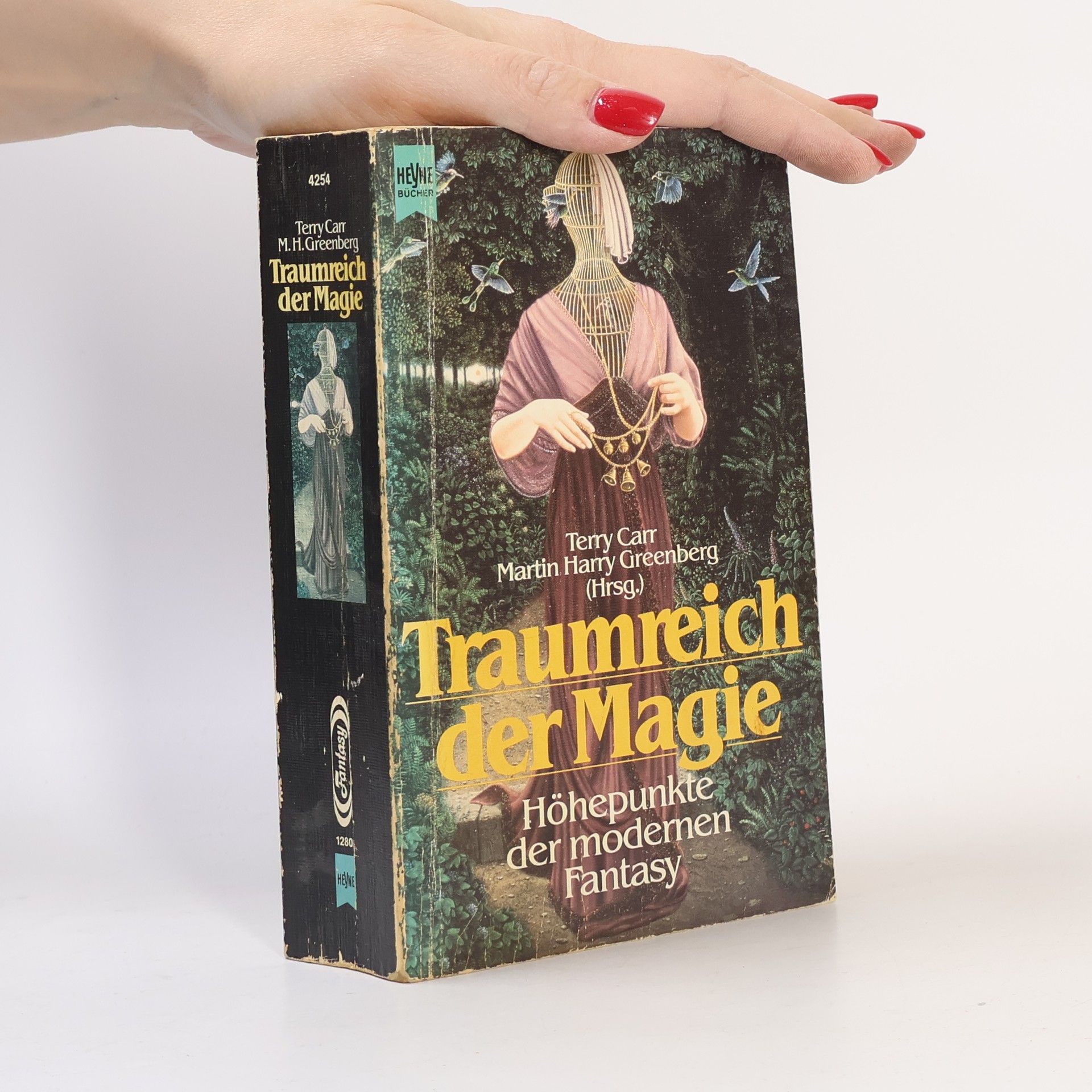 Terry Carr Traumreich der Magie