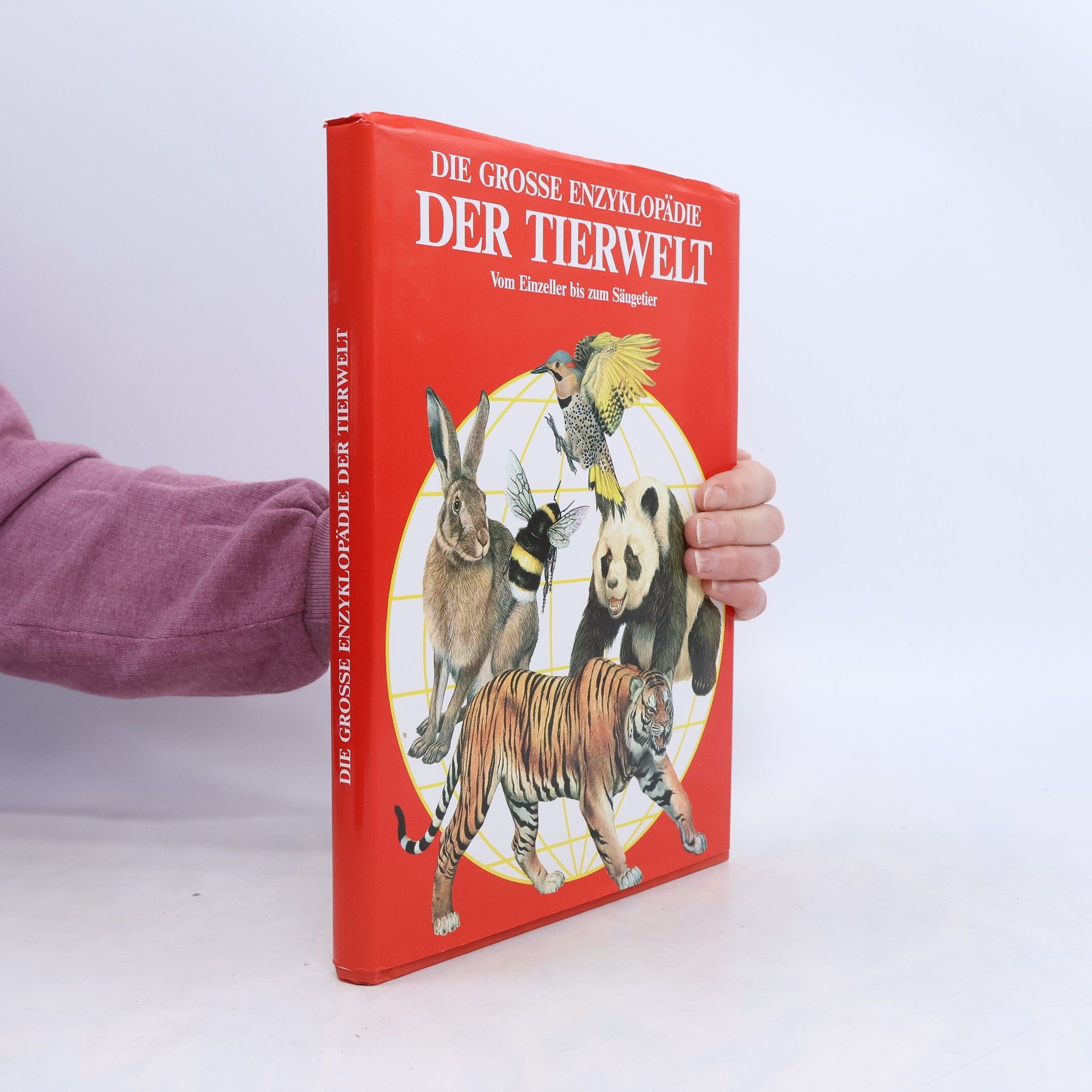Elena Marcon Das grosse Lexikon der Tierwelt