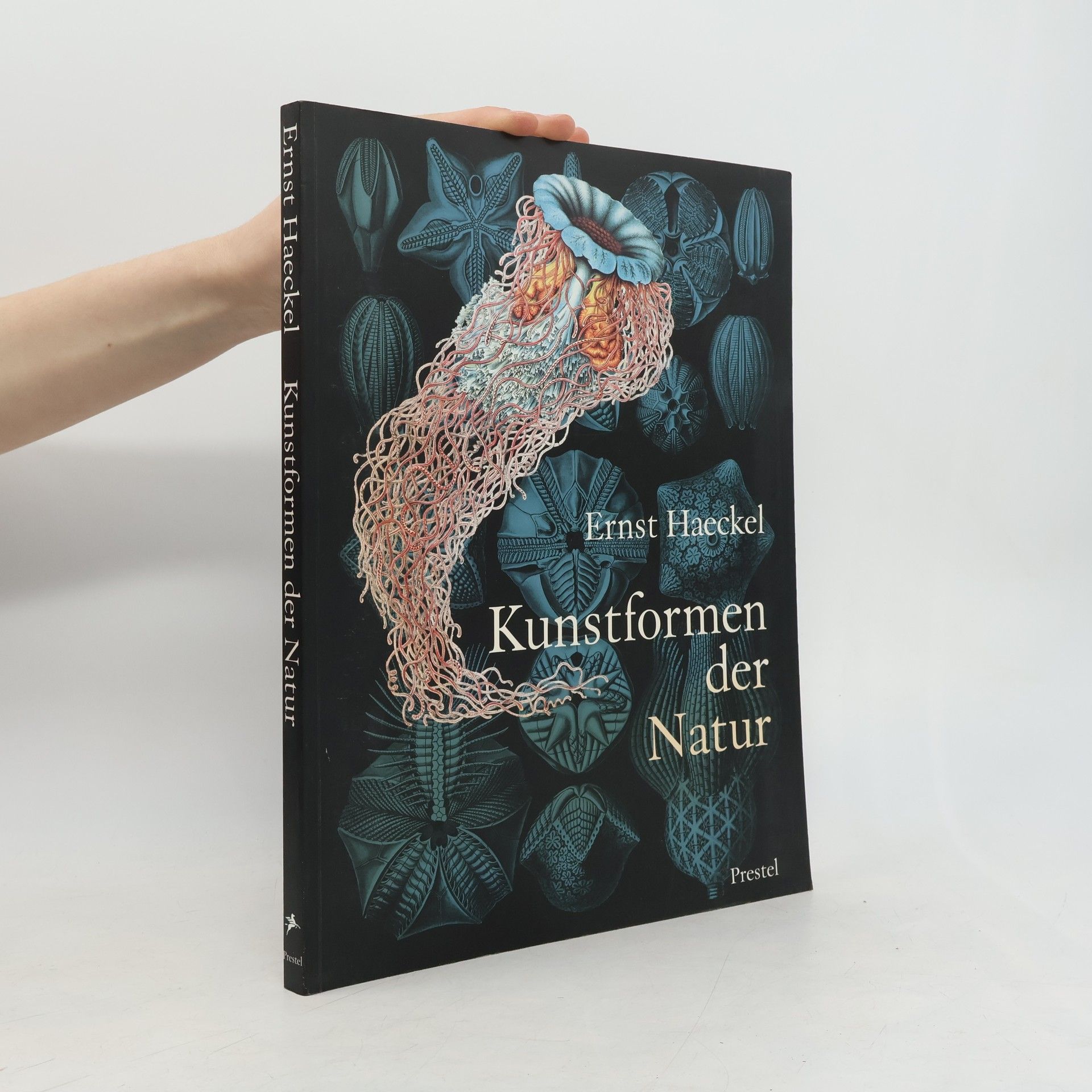 Ernst Haeckel Ernst Haeckel. Kunstformen der Natur