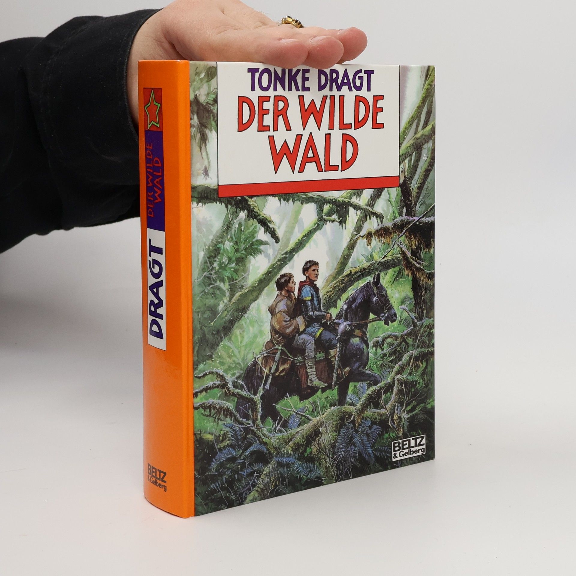 Tonke Dragt Der wilde Wald