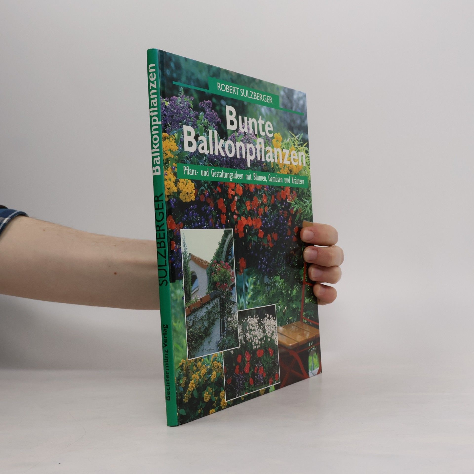 Bunte Balkonpflanzen