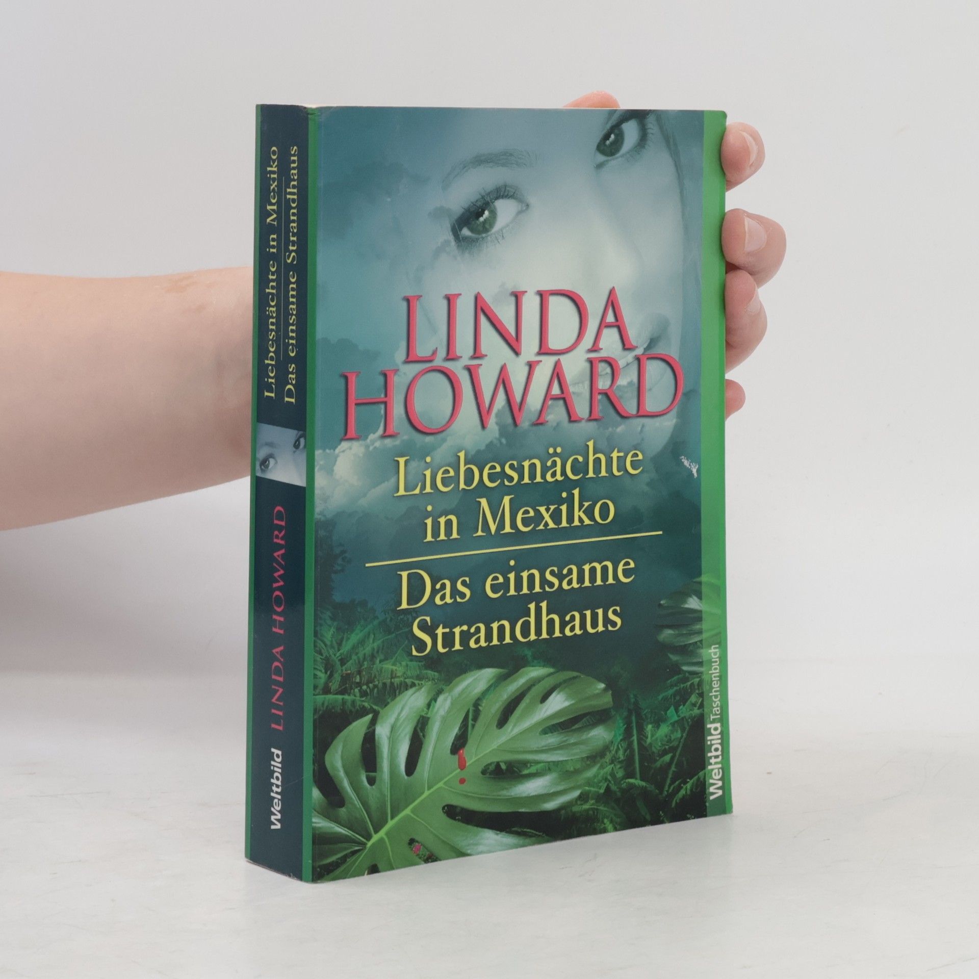 Linda Howard Liebesnächte in Mexiko