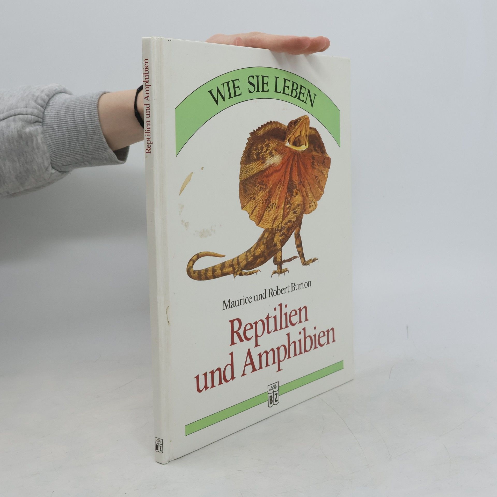 Wie sie leben Reptilien und Amphibien