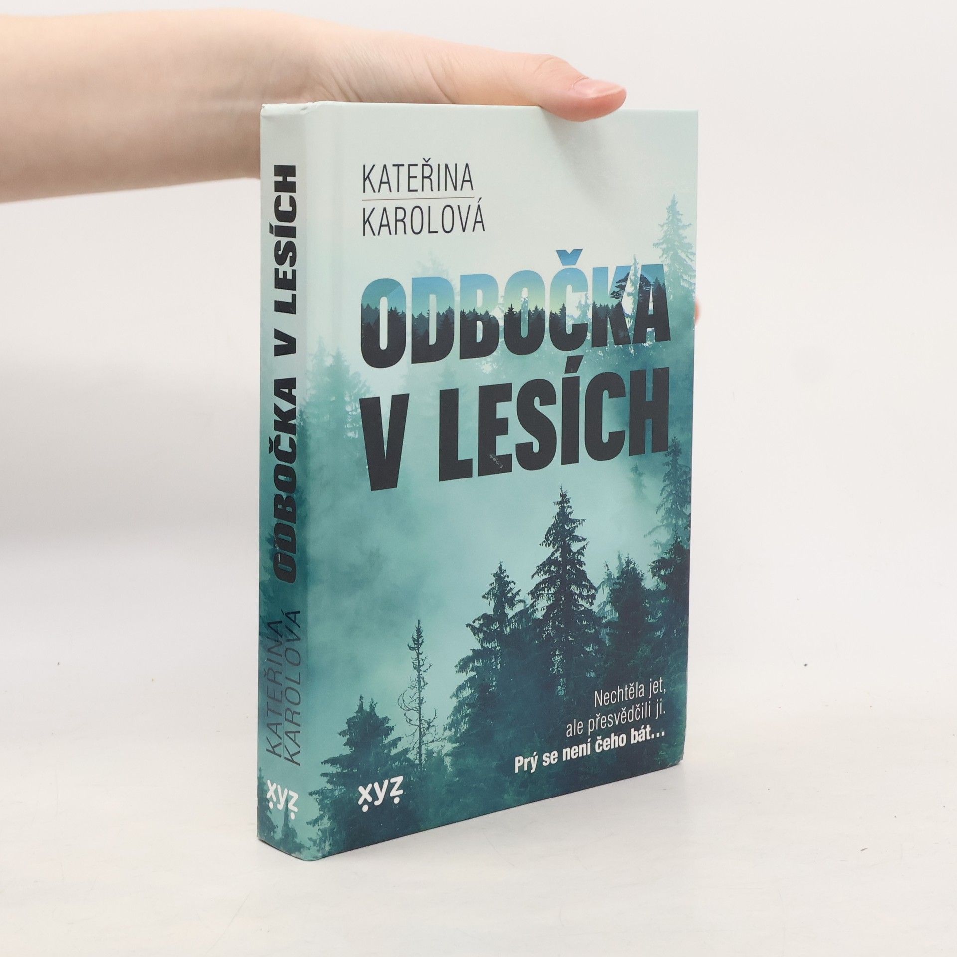 Kateřina Karolová Odbočka v lesích