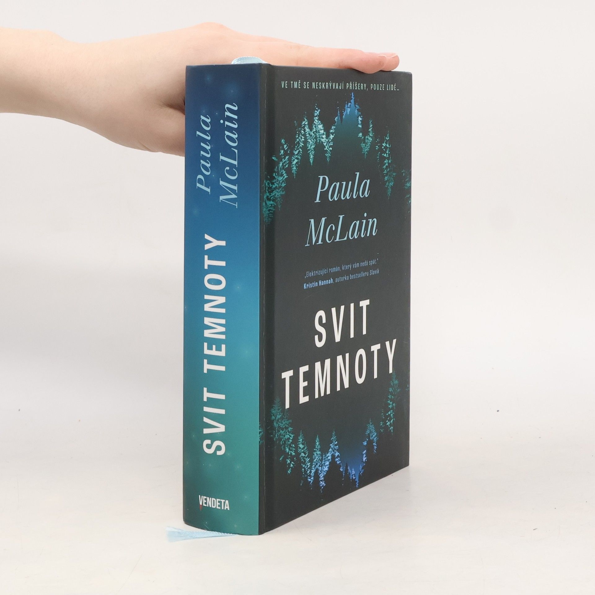Paula McLain Svit temnoty