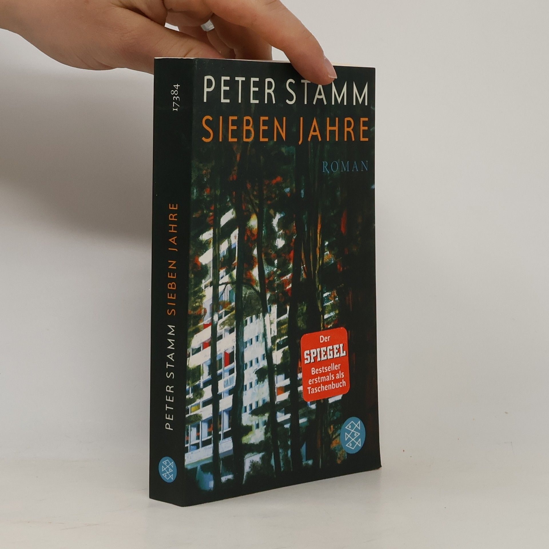 Peter Stamm Sieben Jahre