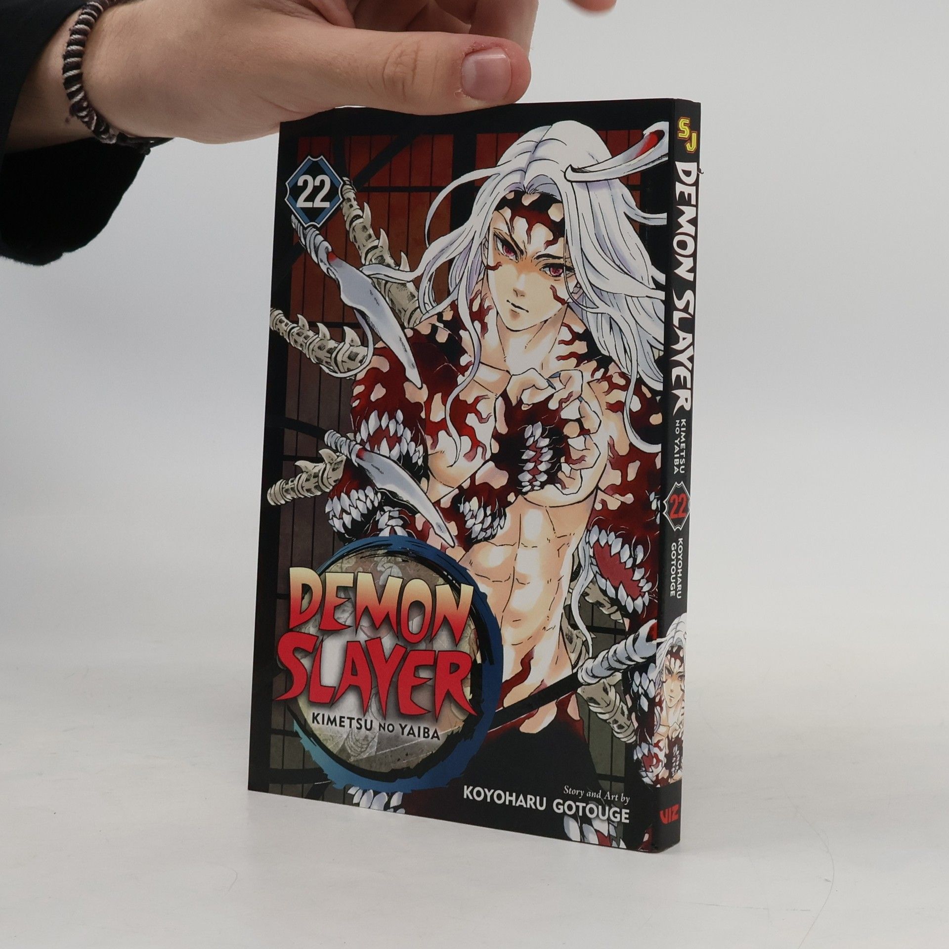 Koyoharu Gotōge Demon Slayer: Kimetsu No Yaiba, Vol. 22: Volume 22