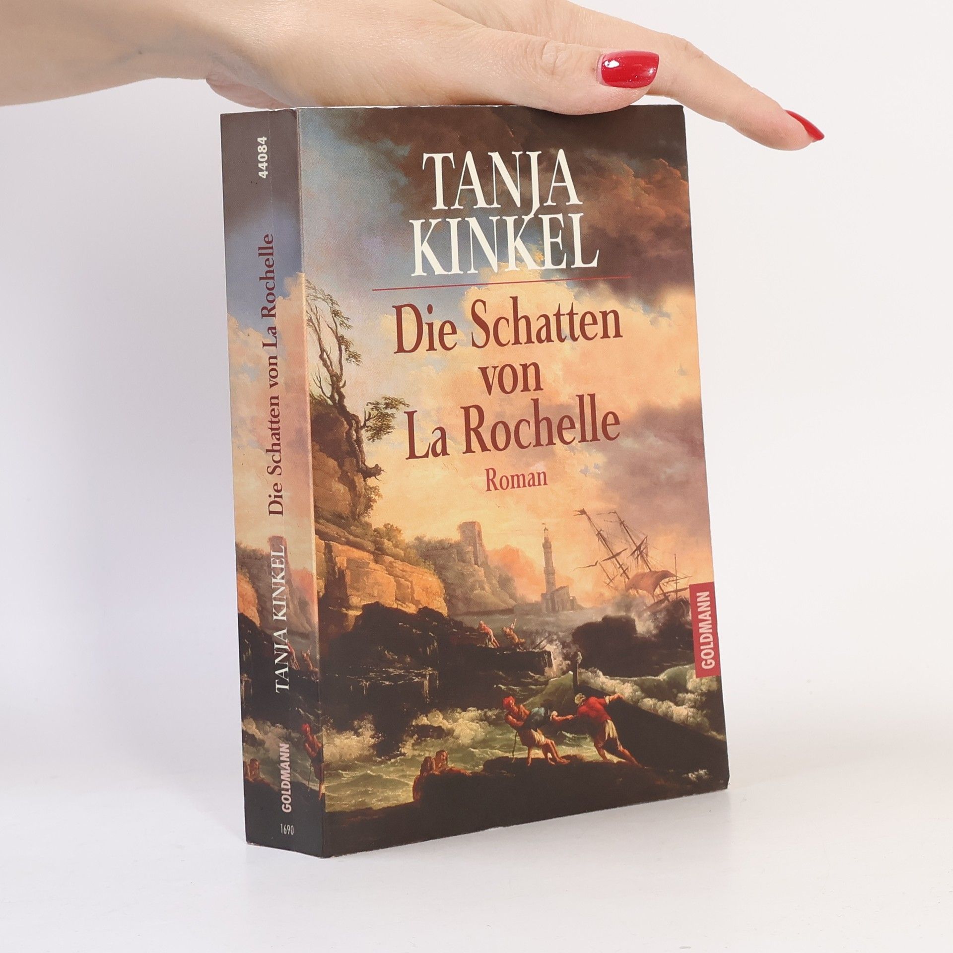 Die Schatten von LaRochelle
