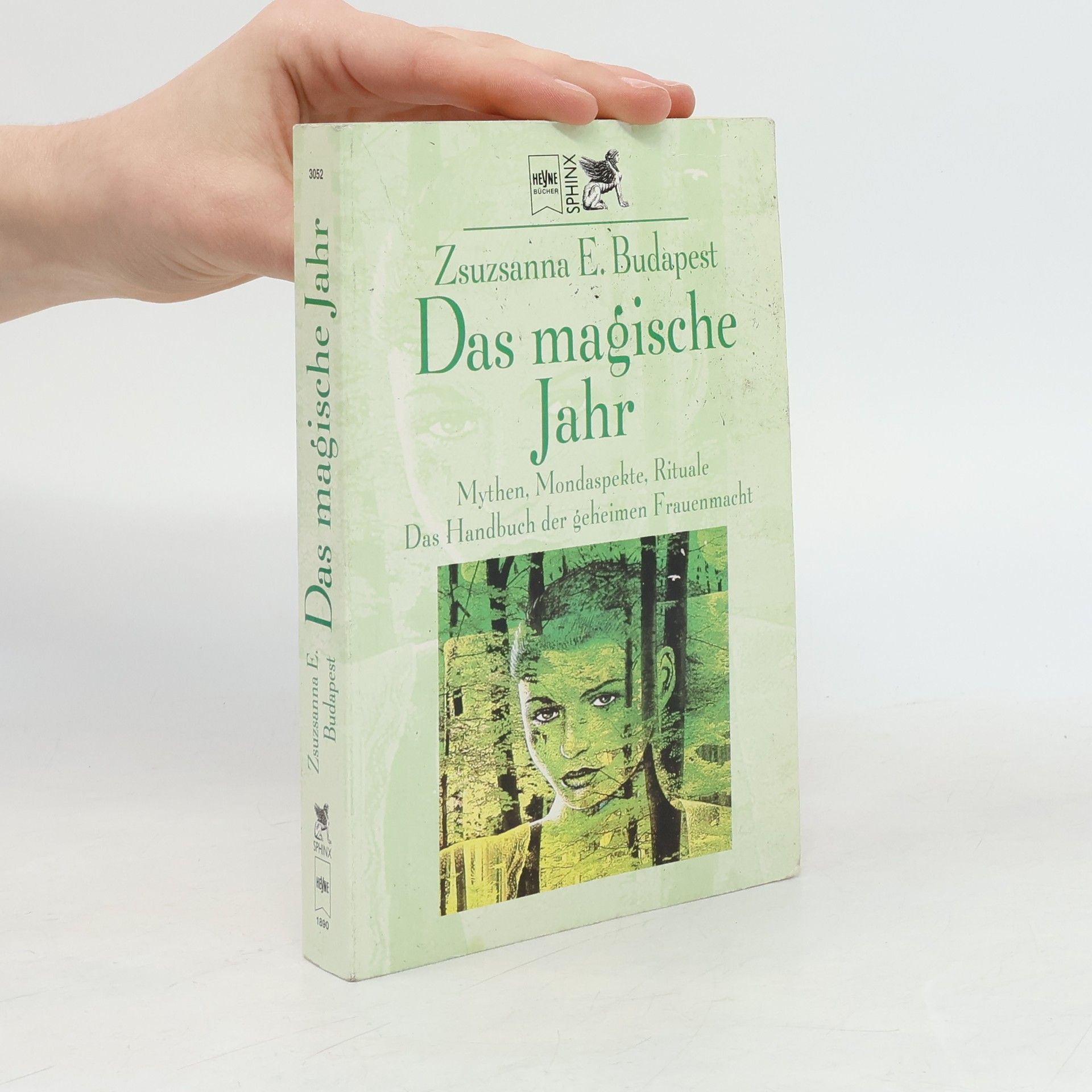 Zsuzsanna Budapest Das magische Jahr
