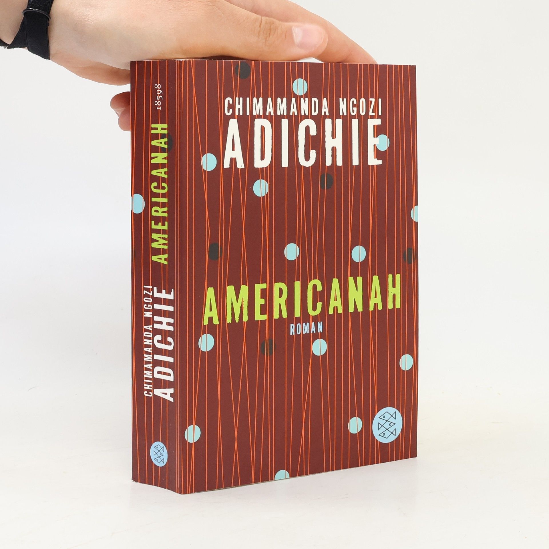 Chimamanda Ngozi Adichie Americanah
