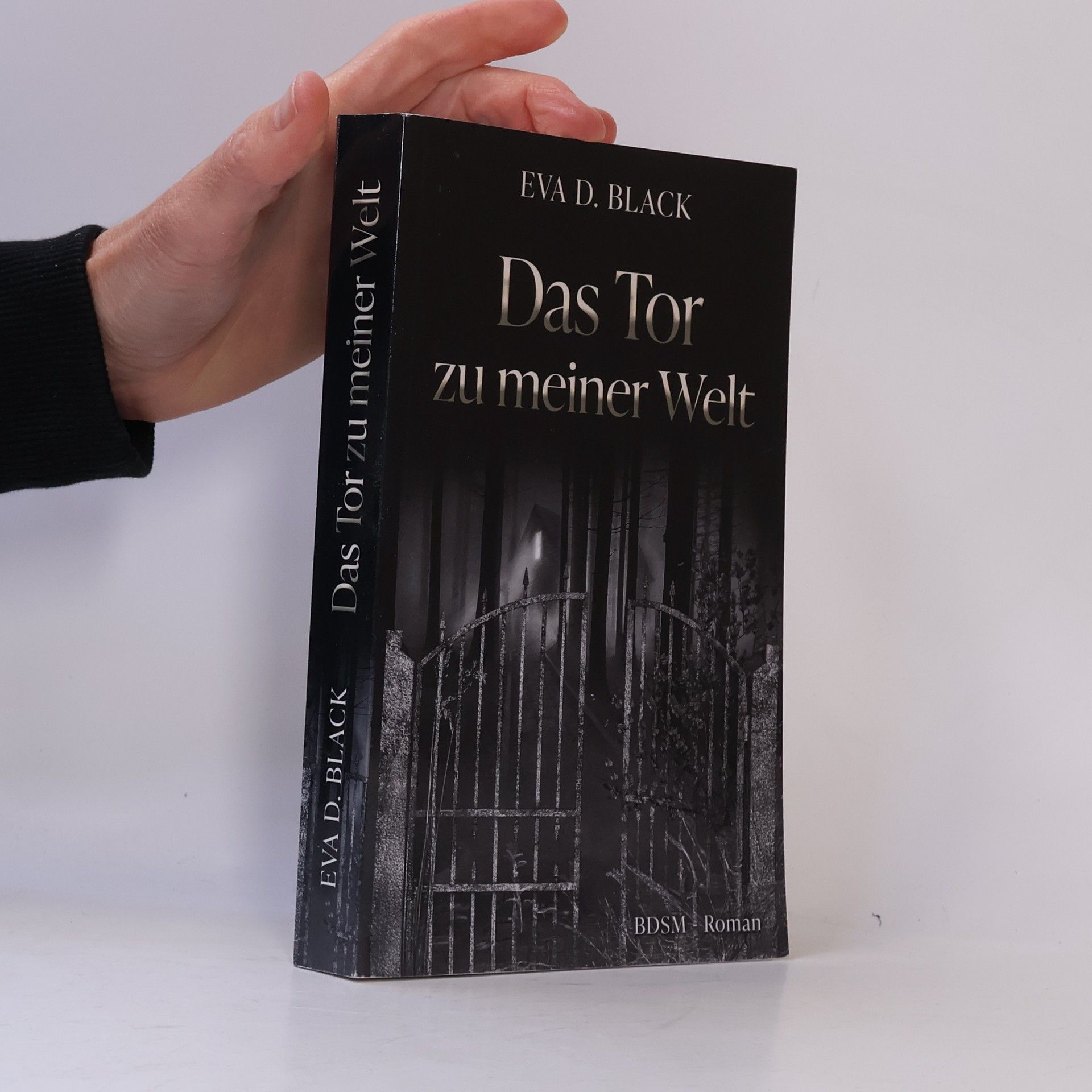 Eva D. Black Das Tor zu meiner Welt