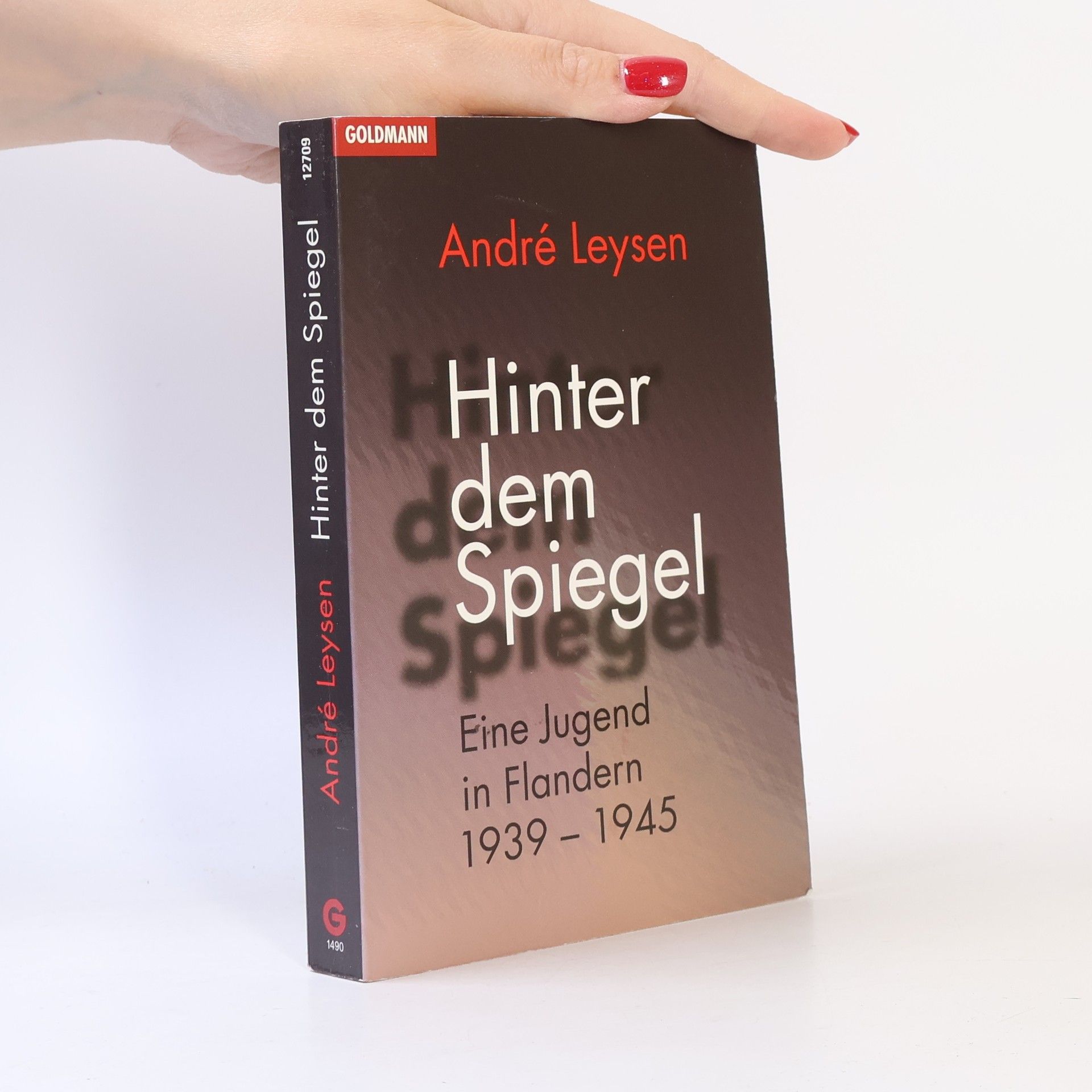 Andre Leysen Hinter dem Spiegel
