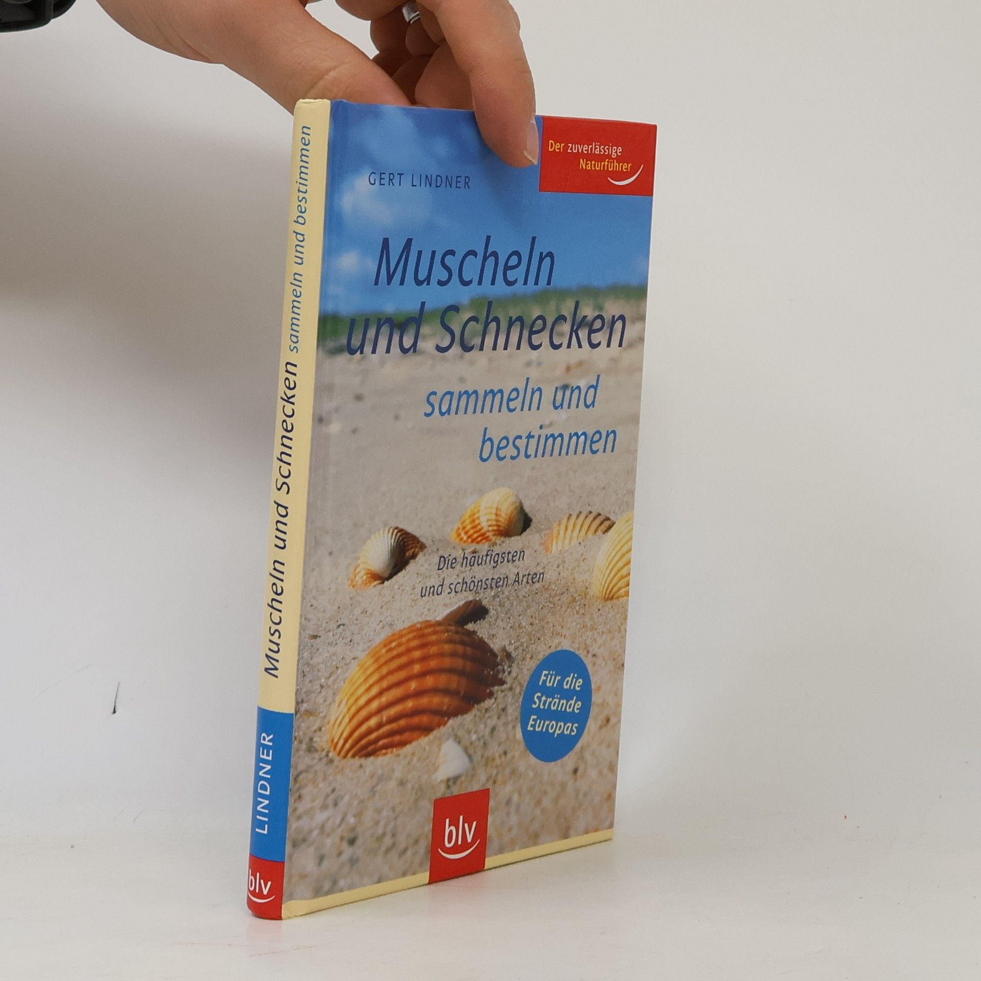 Gert Lindner Muscheln und Schnecken sammeln und bestimmen
