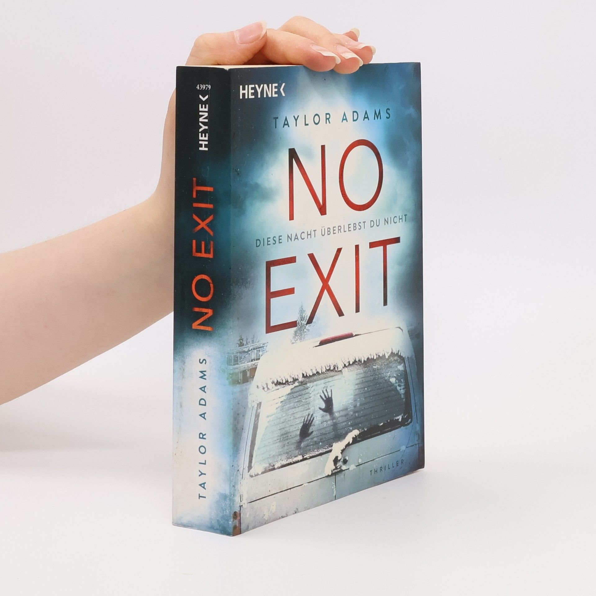 Taylor Adams No exit