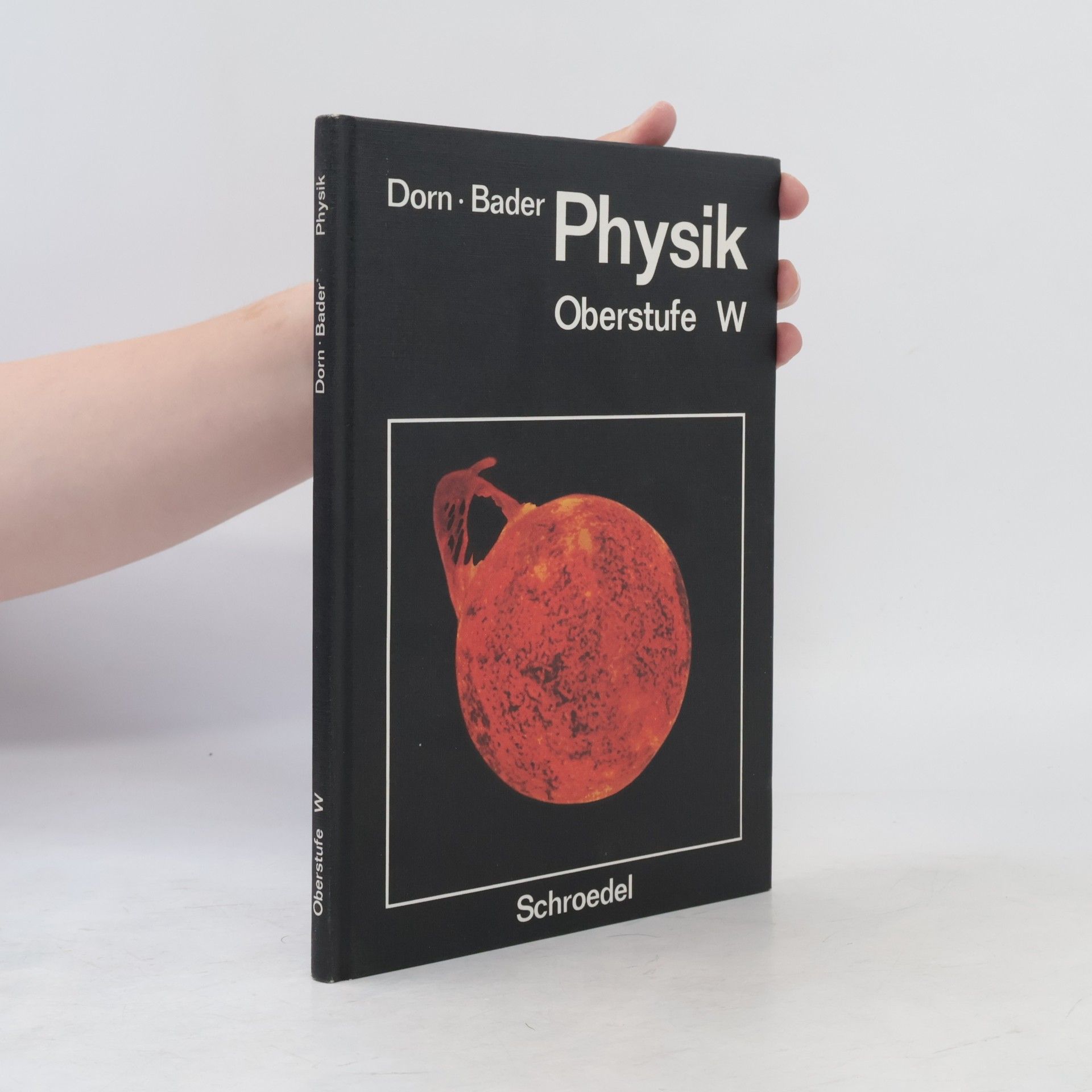 Kolektív autorov Physik