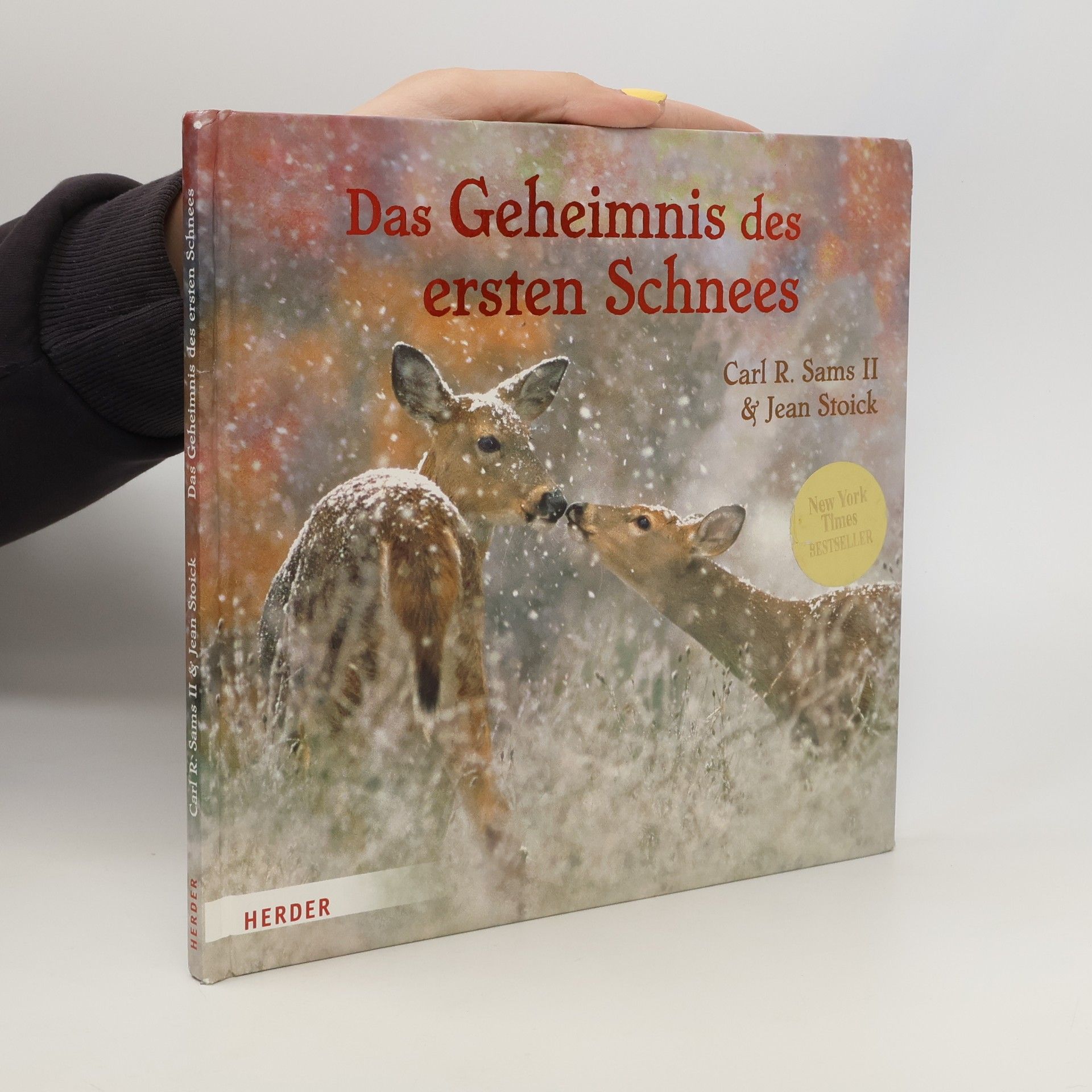 Carl R. Sams Das Geheimnis des ersten Schnees